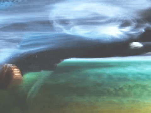 vhs render fall back bg.png