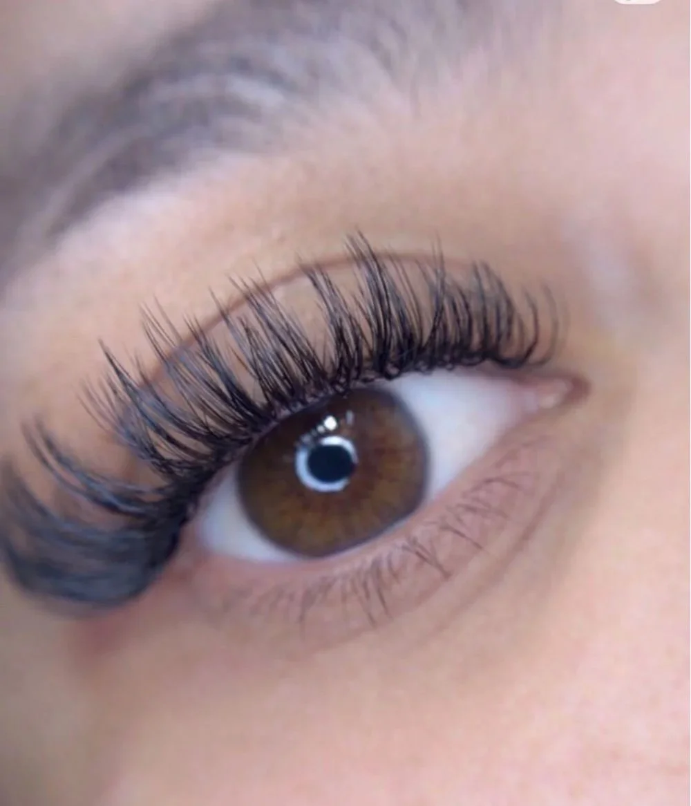 lash-gallery-1.jpg