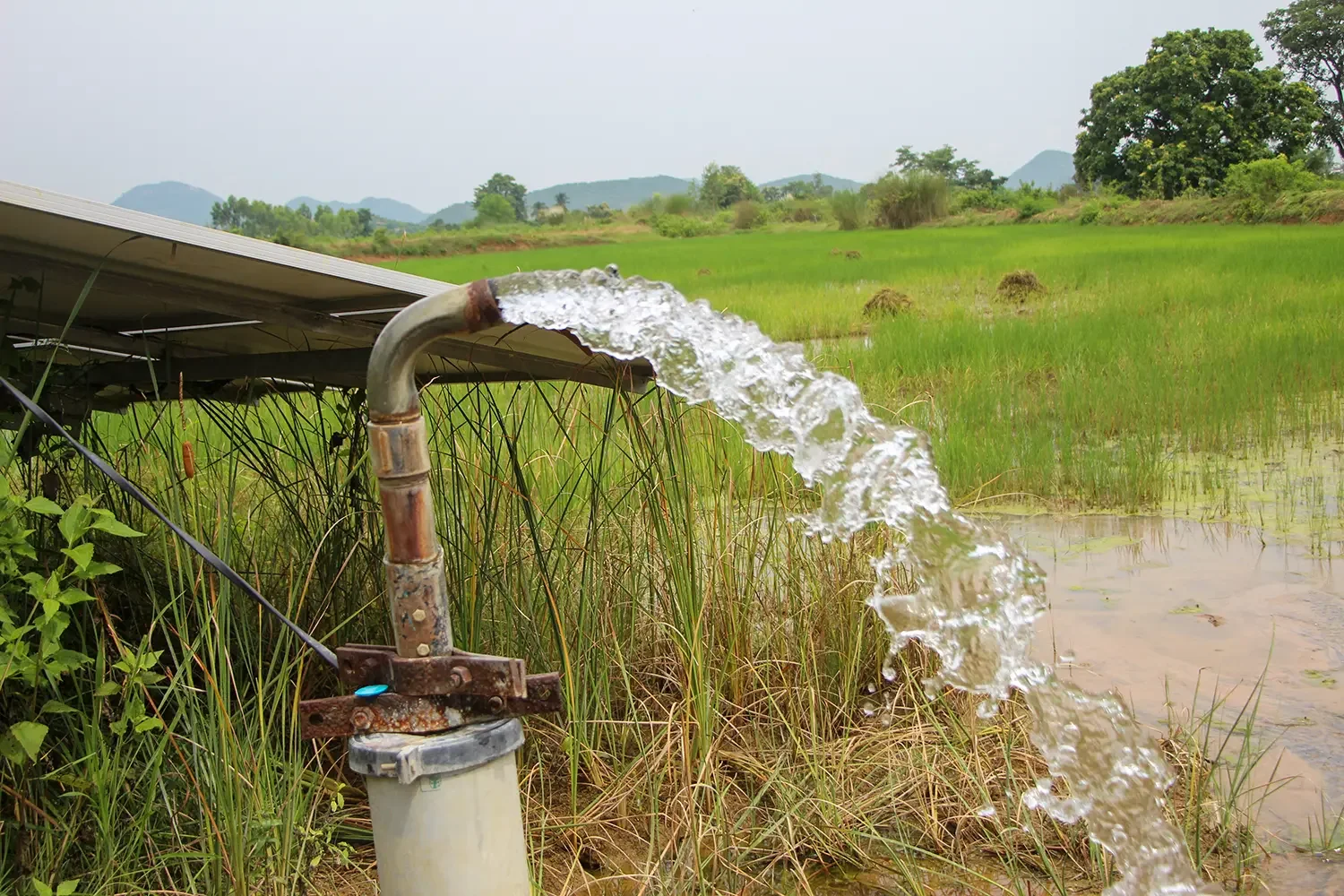 water coming out of a groundwater bore