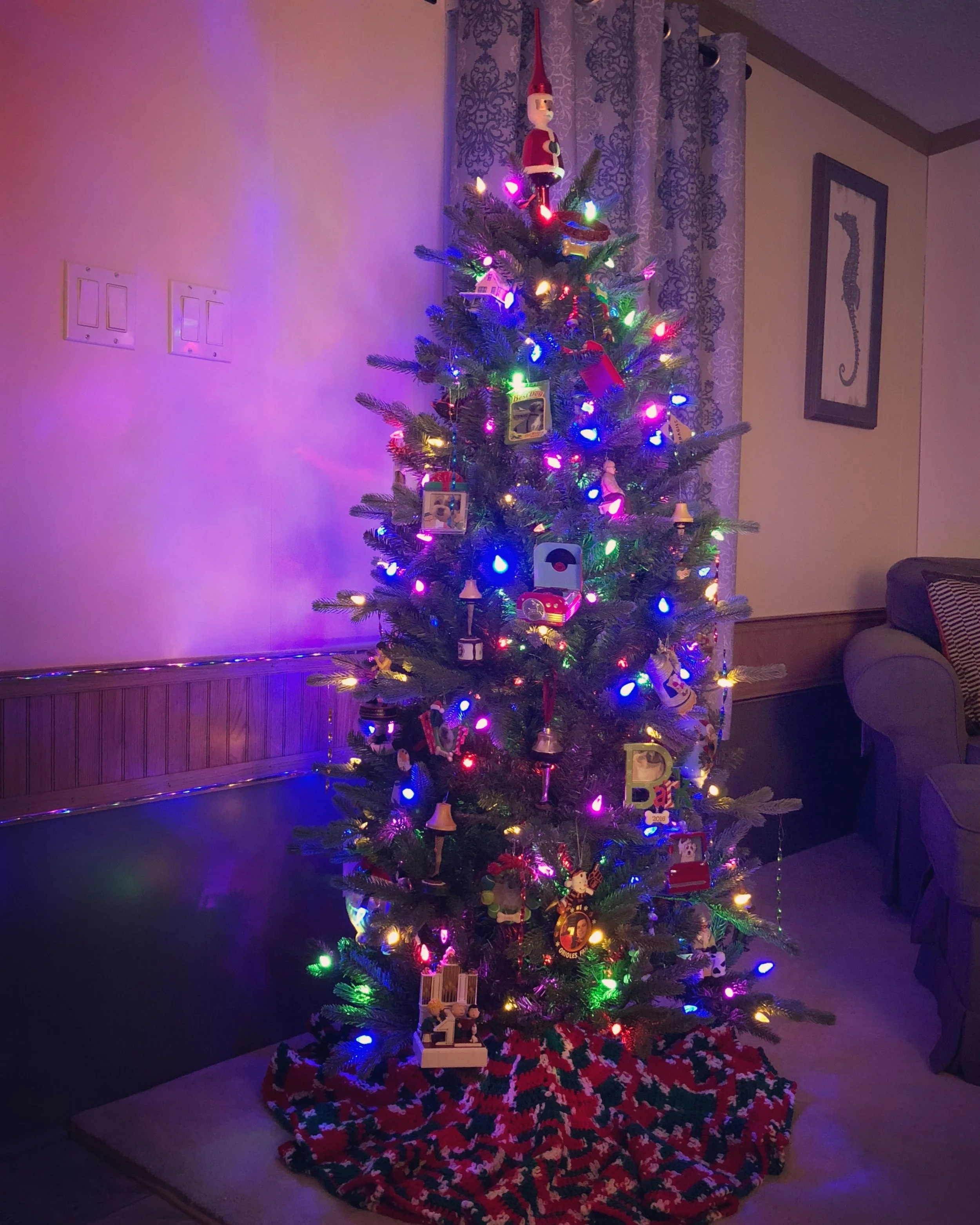 IMG_0472.jpeg