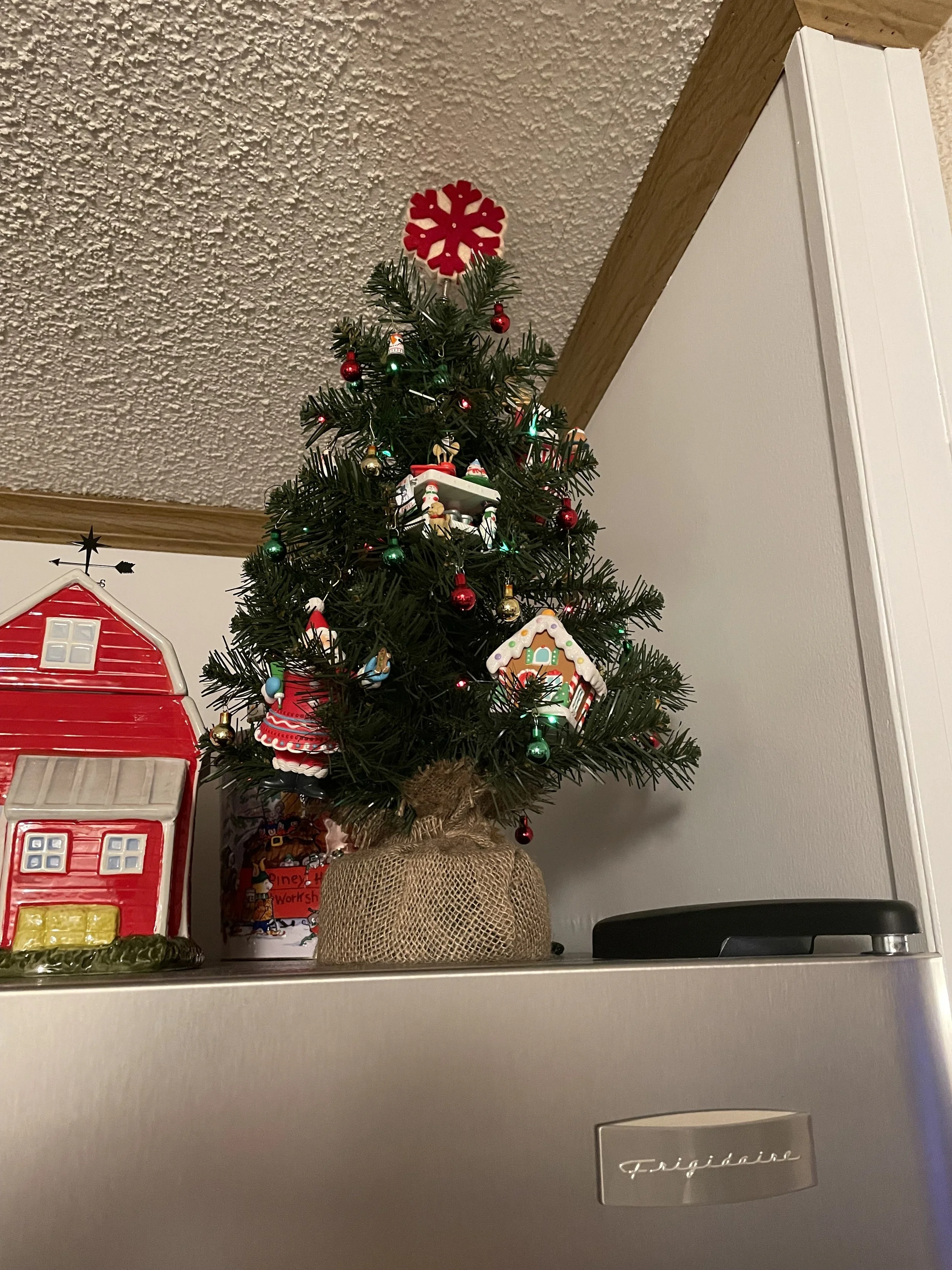 IMG_5686.jpeg