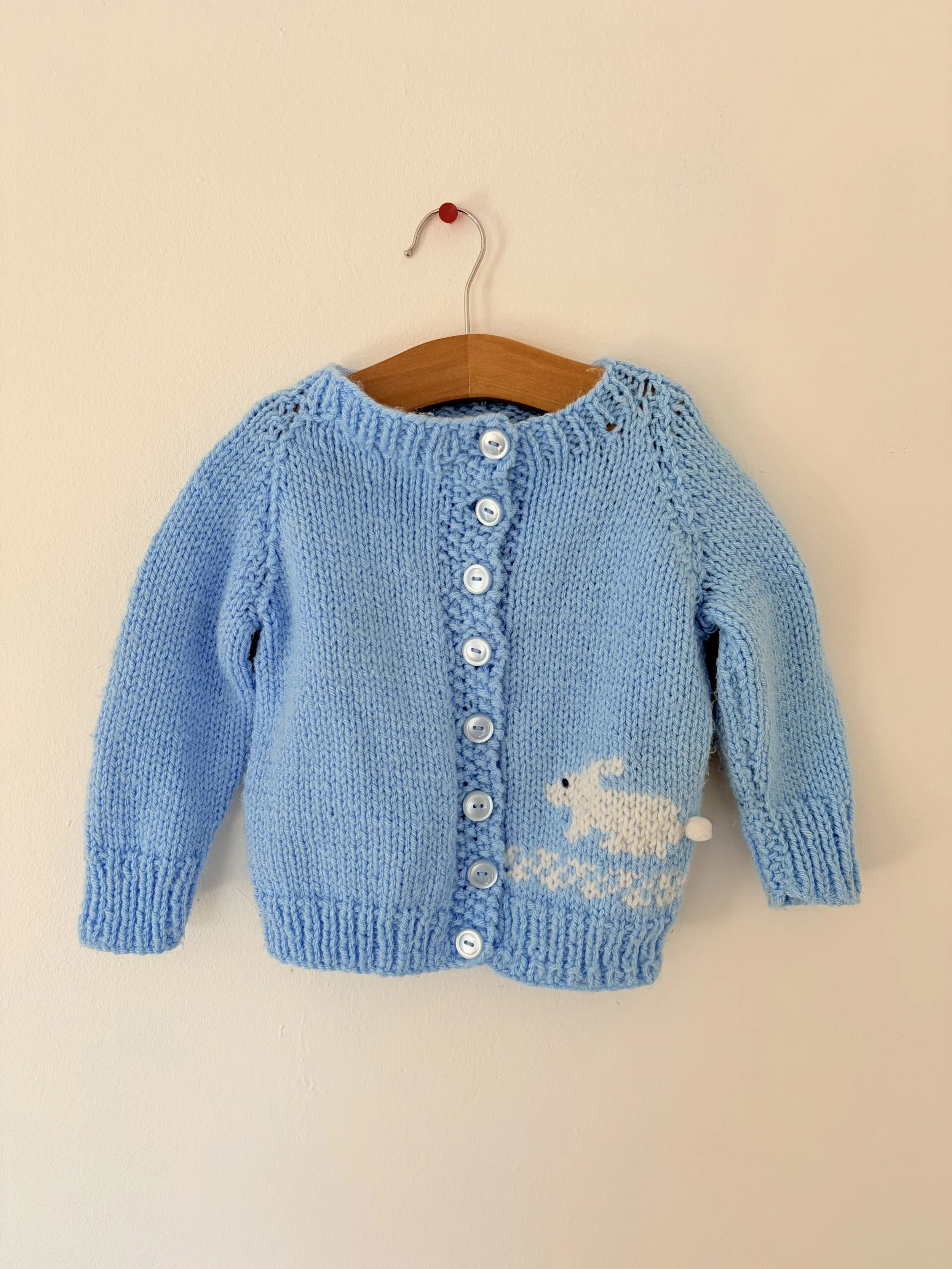 Blue Bunny Cardigan
