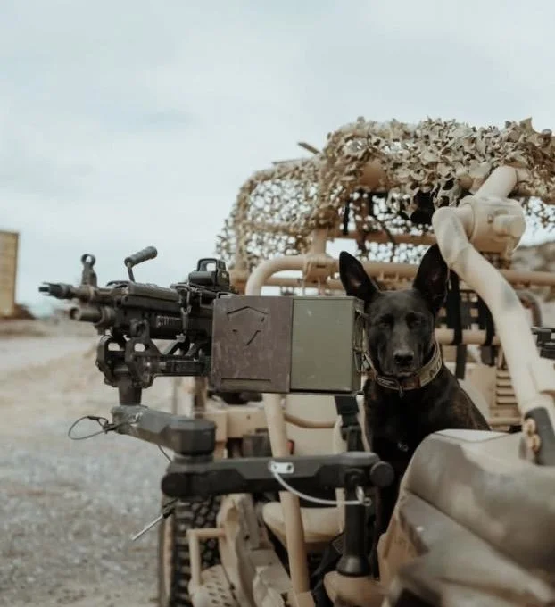 A military equipment with a mounted machine gun and a black dog sitting nearby in a desert setting.