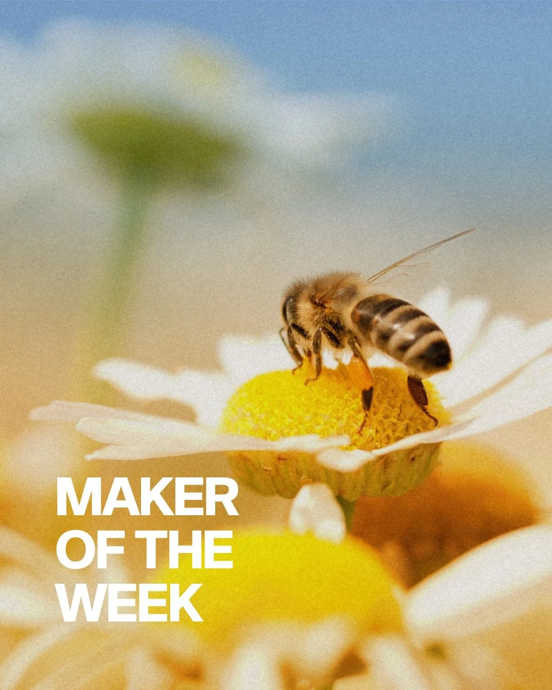 MAKER OF THE WEEK

This week we are shining the spotlight on Bee Kind Australia 🐝💛

Handcrafted with care and inspired by nature, Bee Kind Australia creates beautiful eco-friendly wildflower seed cards that celebrate sustainability, simplicity and 