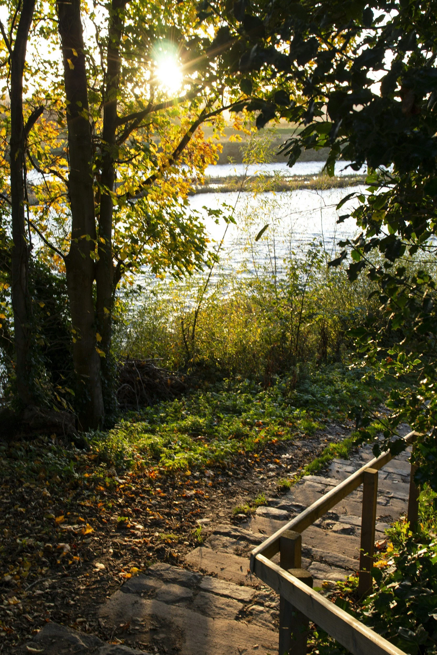 A scenic outdoor trail with stone steps and a wooden handrail, surrounded by trees with green and yellow leaves, leading towards a body of water reflecting sunlight, with the sun low in the sky.