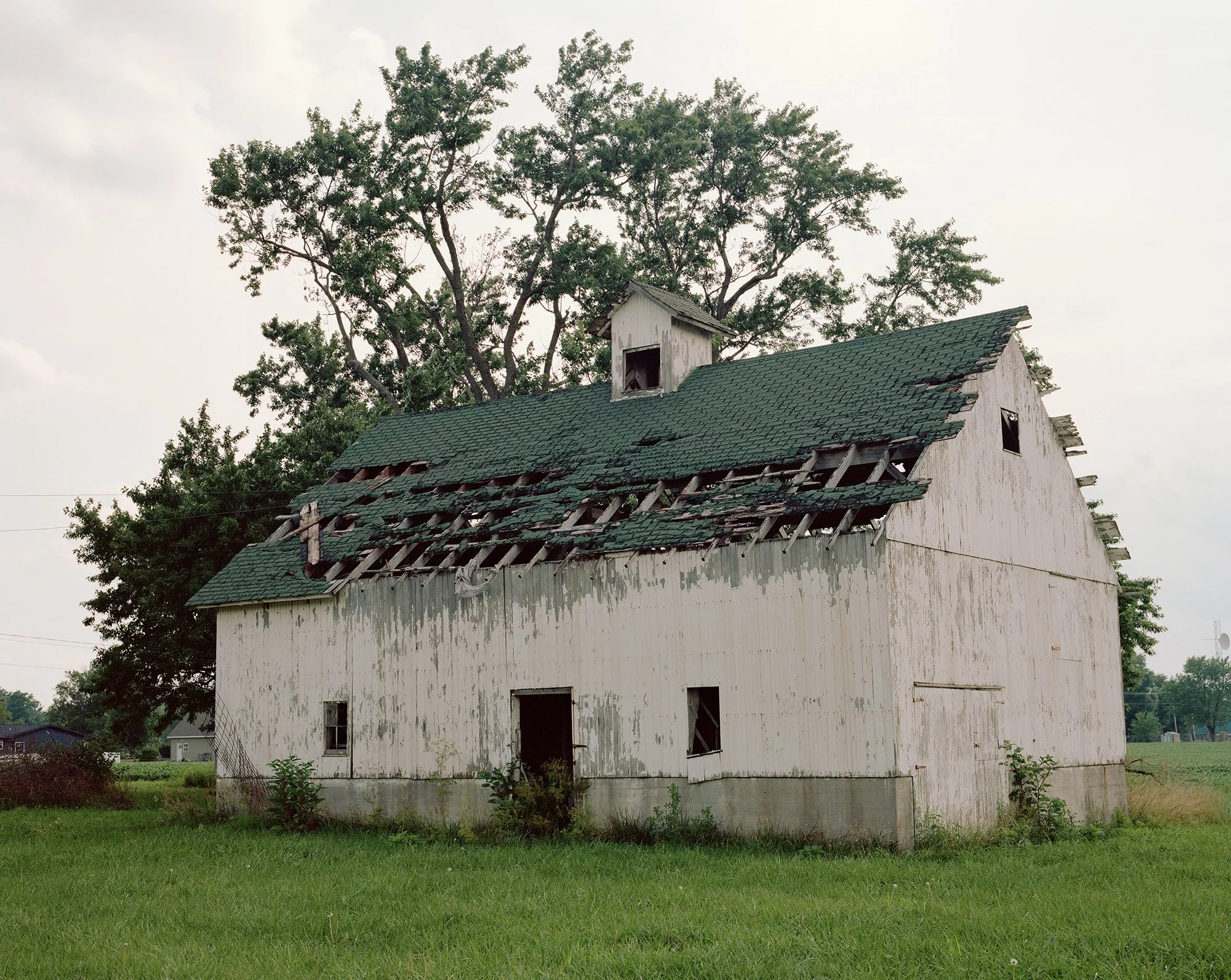 Norlan Olivo - Treehouse.jpg