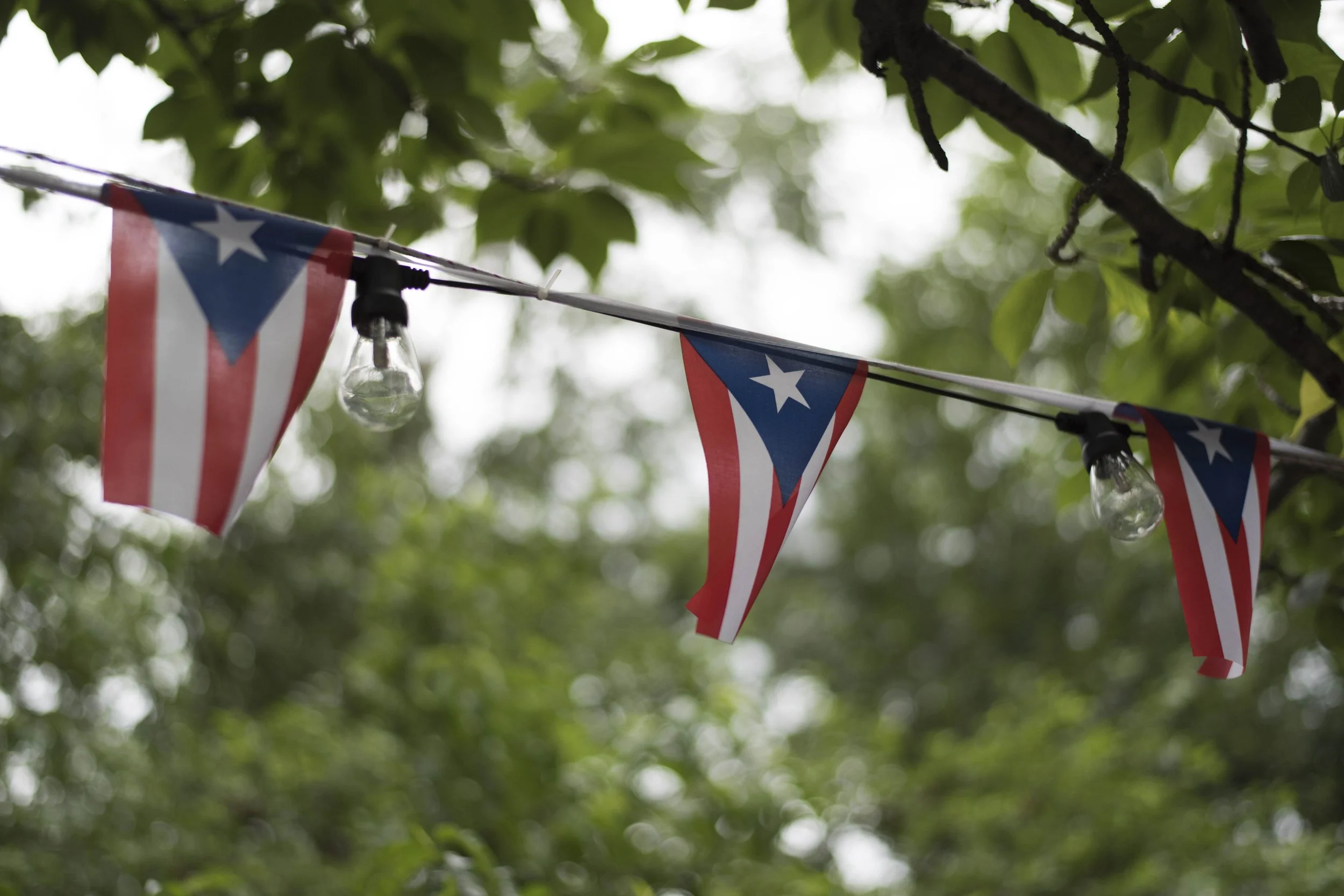 Dominirican BTS -6.jpg