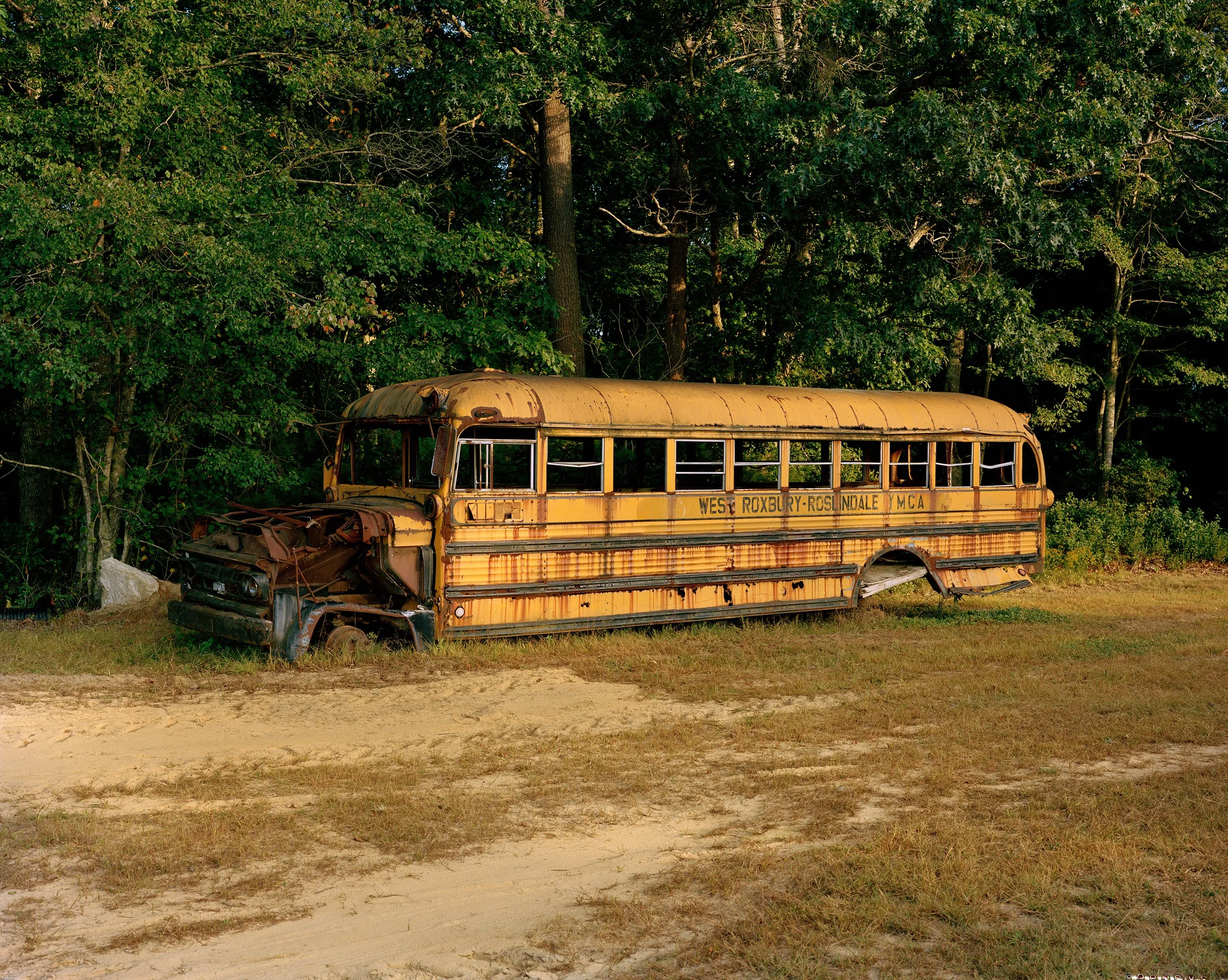 Ally Bus Website.jpg