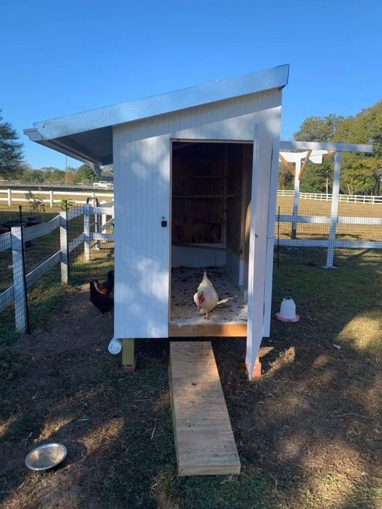 coop w:water catchment door:ramp view.JPG