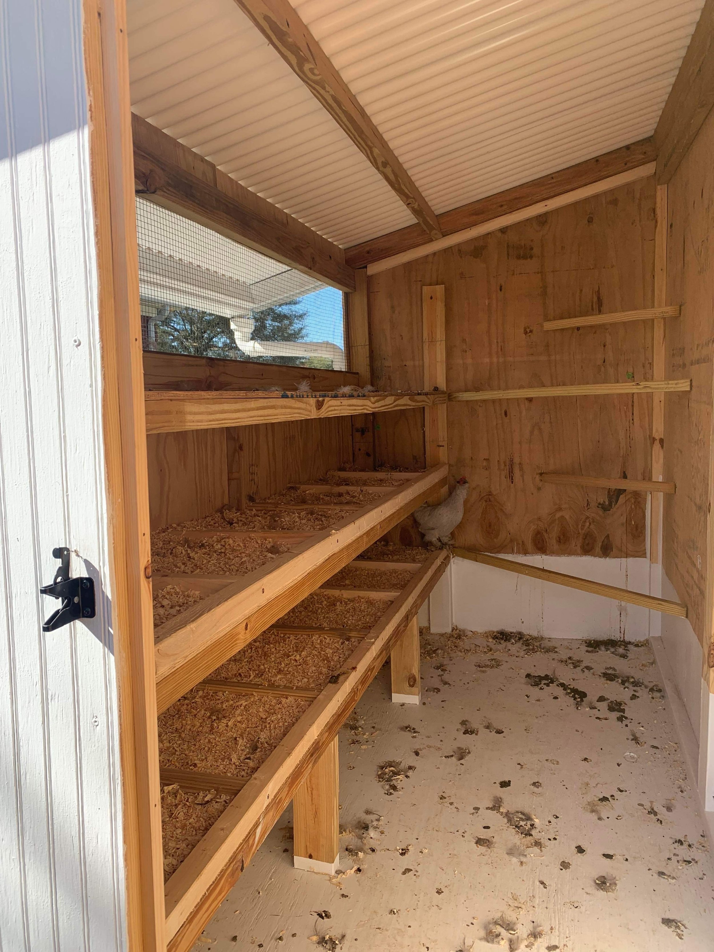 coop open concept nesting boxes.JPG