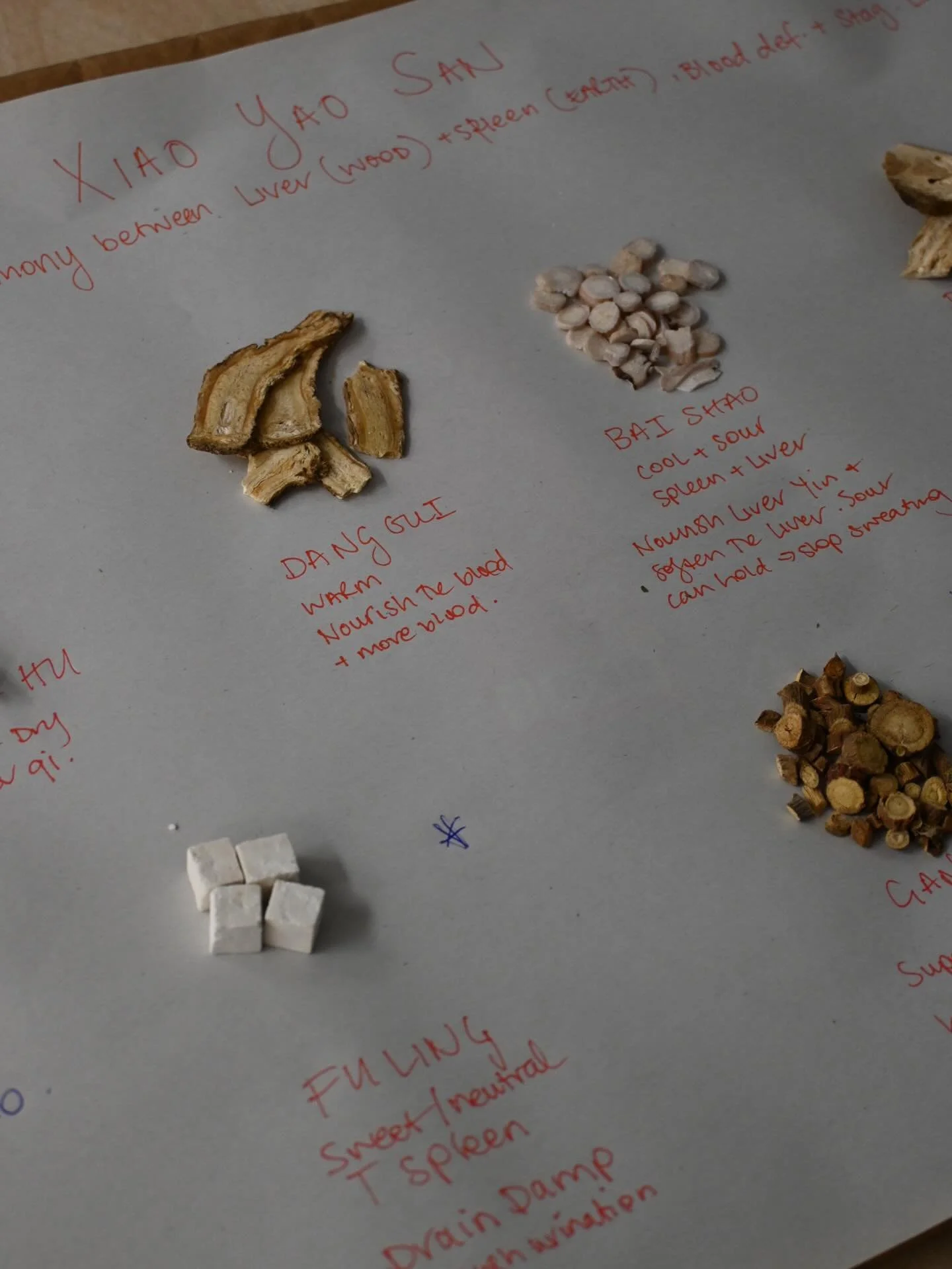 Completed 🥼🐉🏆🧧🎊📌

Some photos from our final semester of uni, we went from textbooks to treatment rooms and now move into real world practitioner roles. 

So grateful for the teachers and mentors I&rsquo;ve met along the way (with the large maj