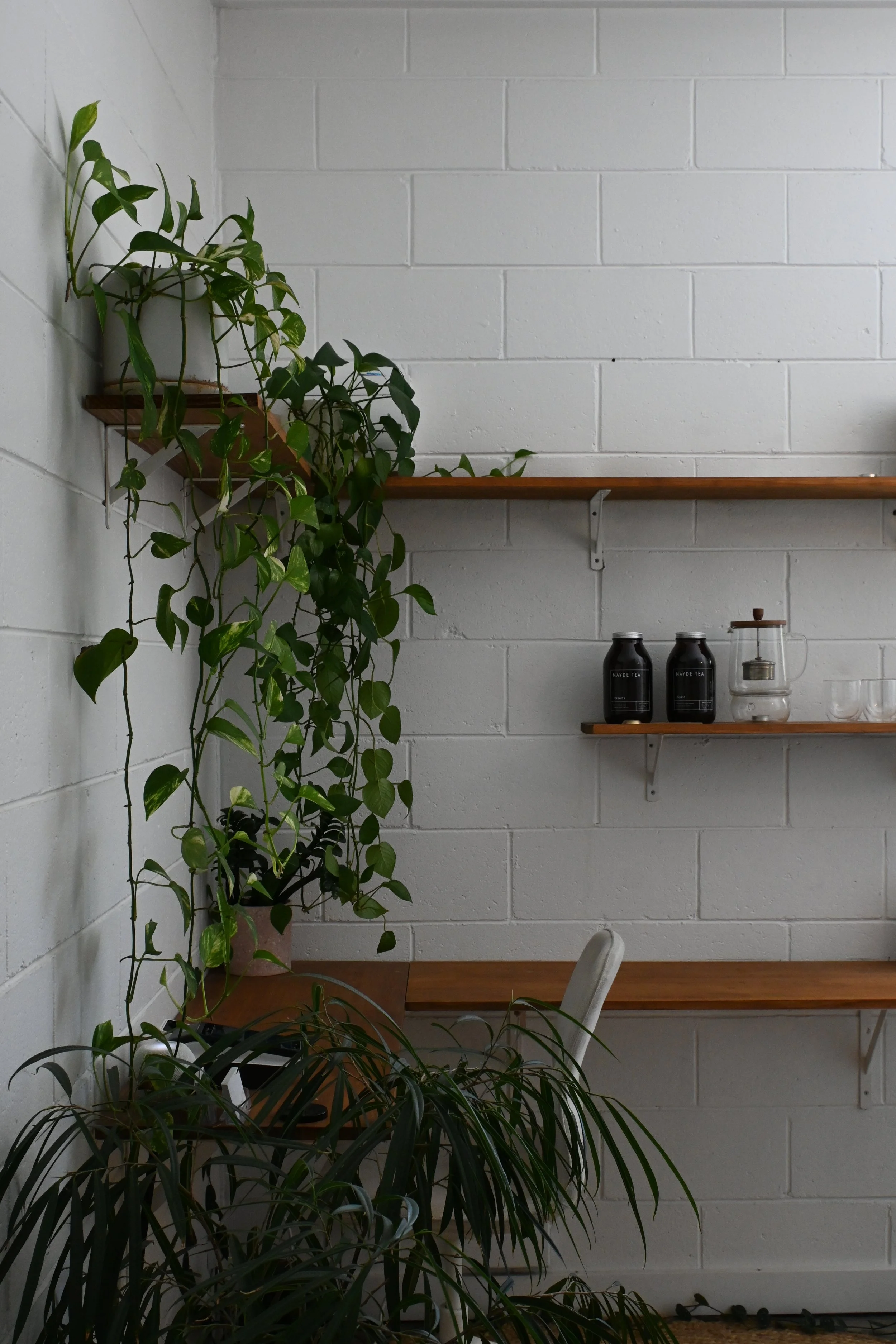 20260221_022608320_iOS 1.jpg