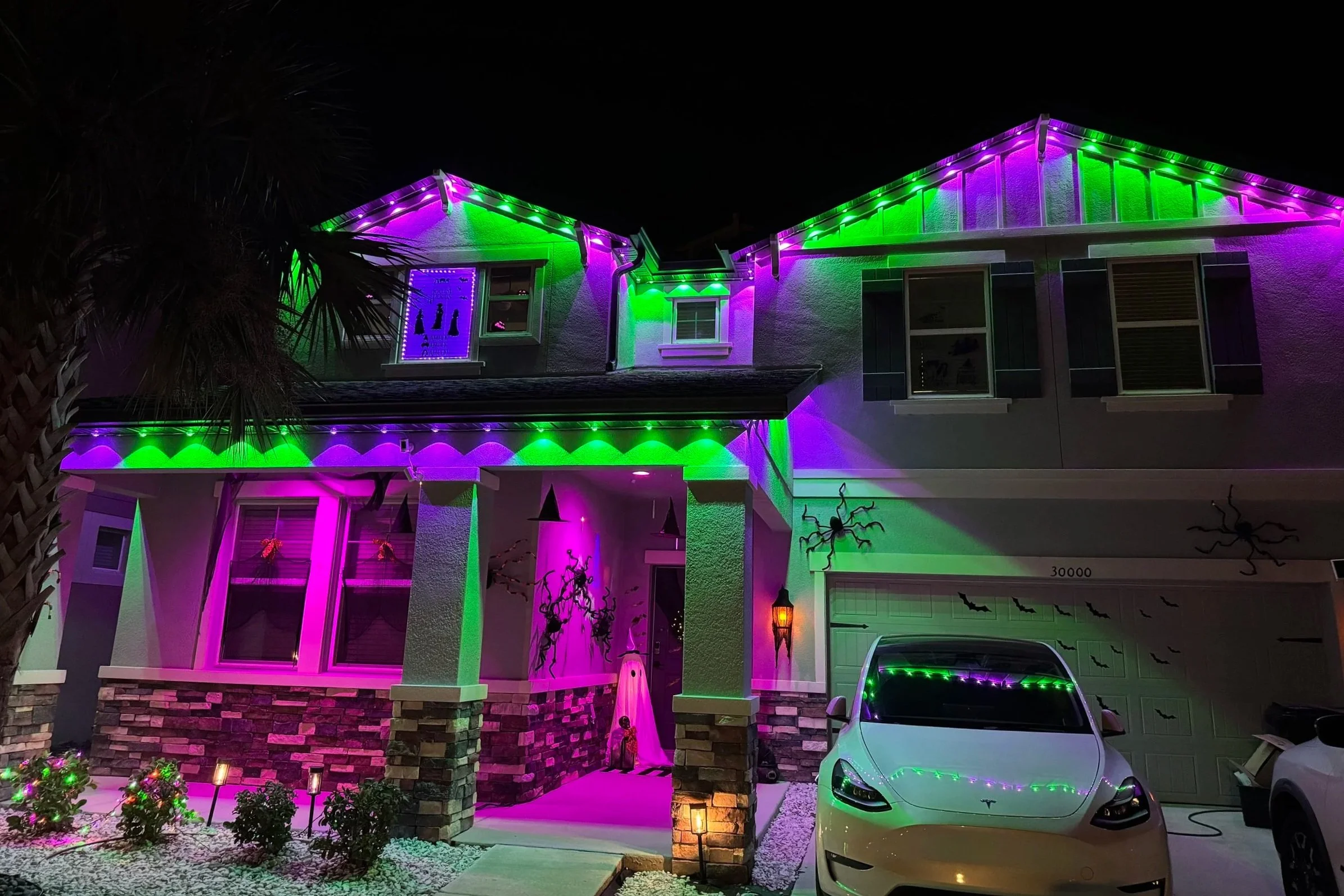 permanent exterior light installation in Wesley Chapel, FL