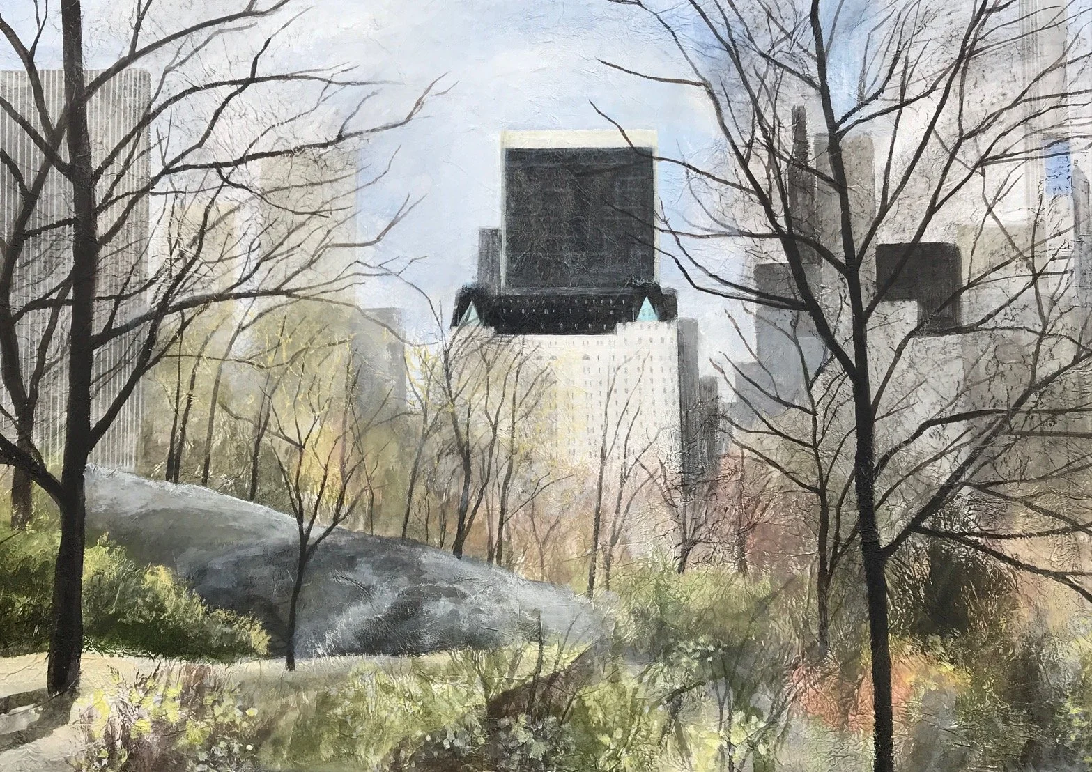 Plaza View, Central Park