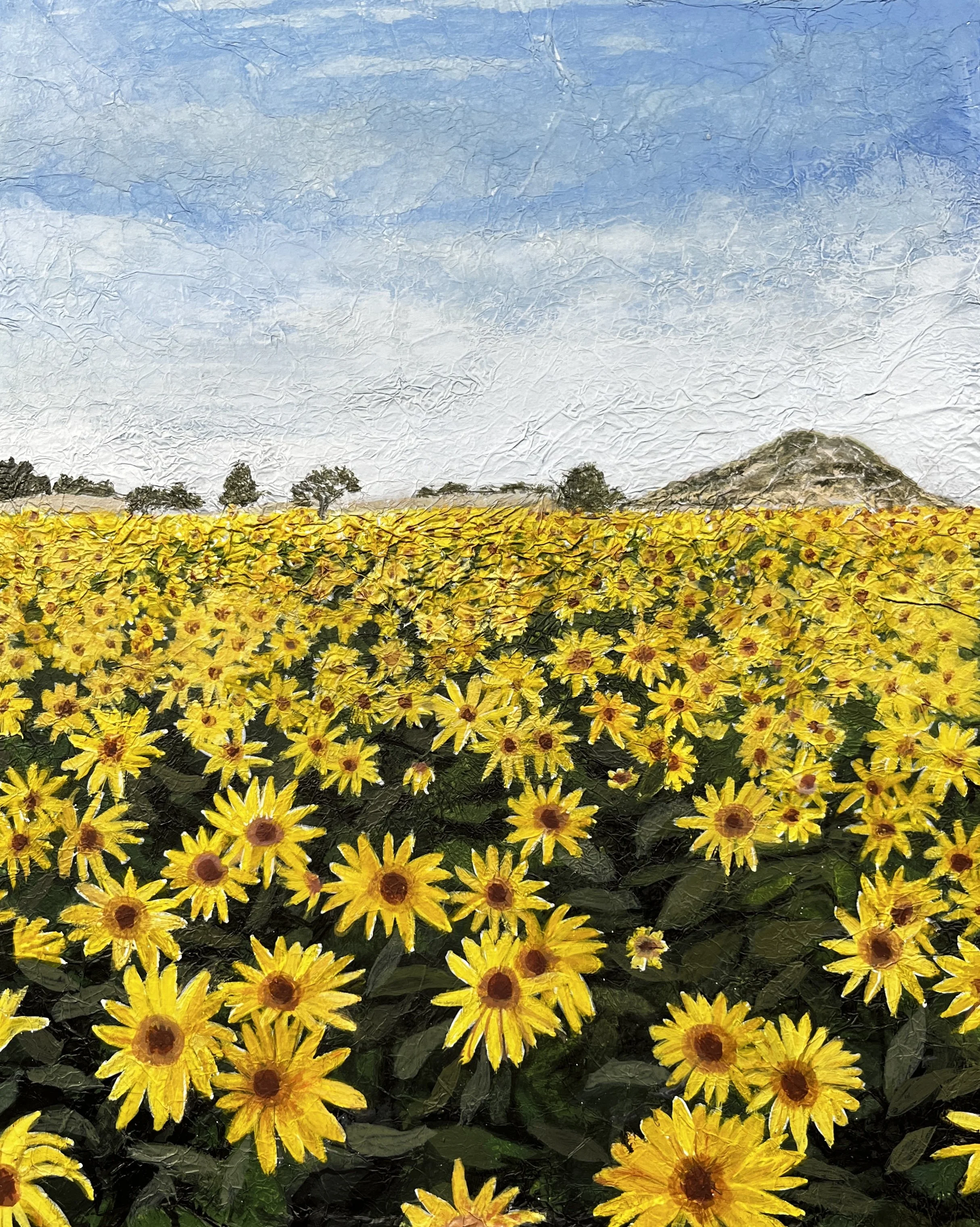 Sunflowers.