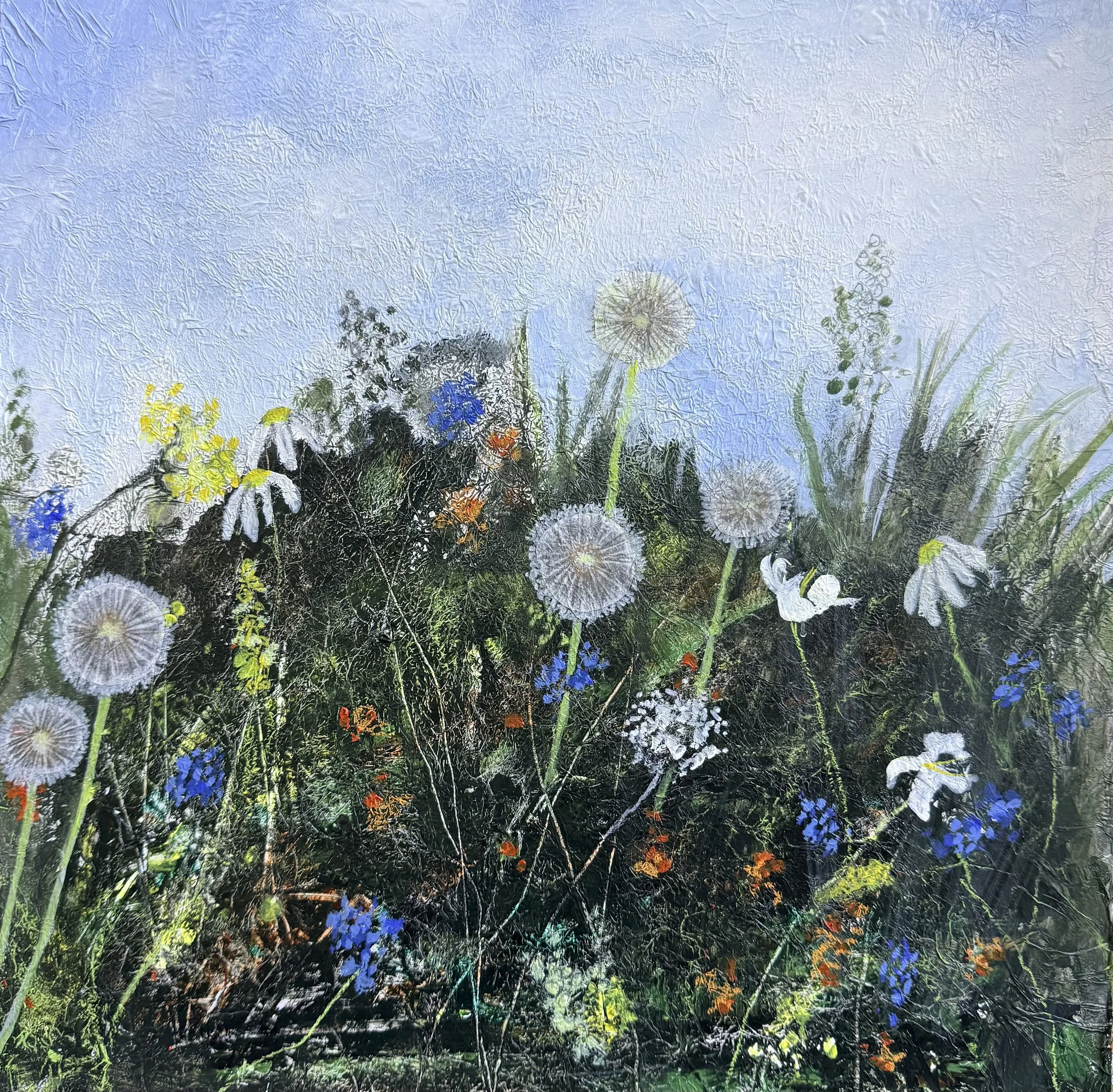 Dandelion Clocks