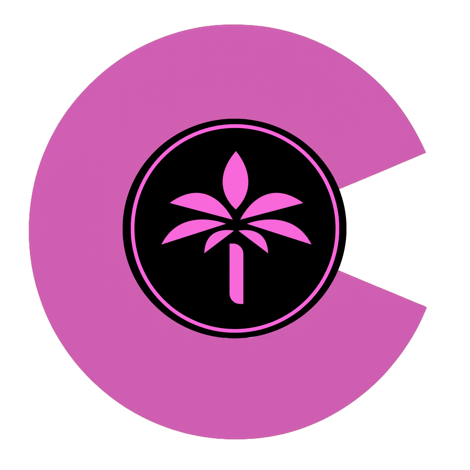 Cannabis Studio - Boulder