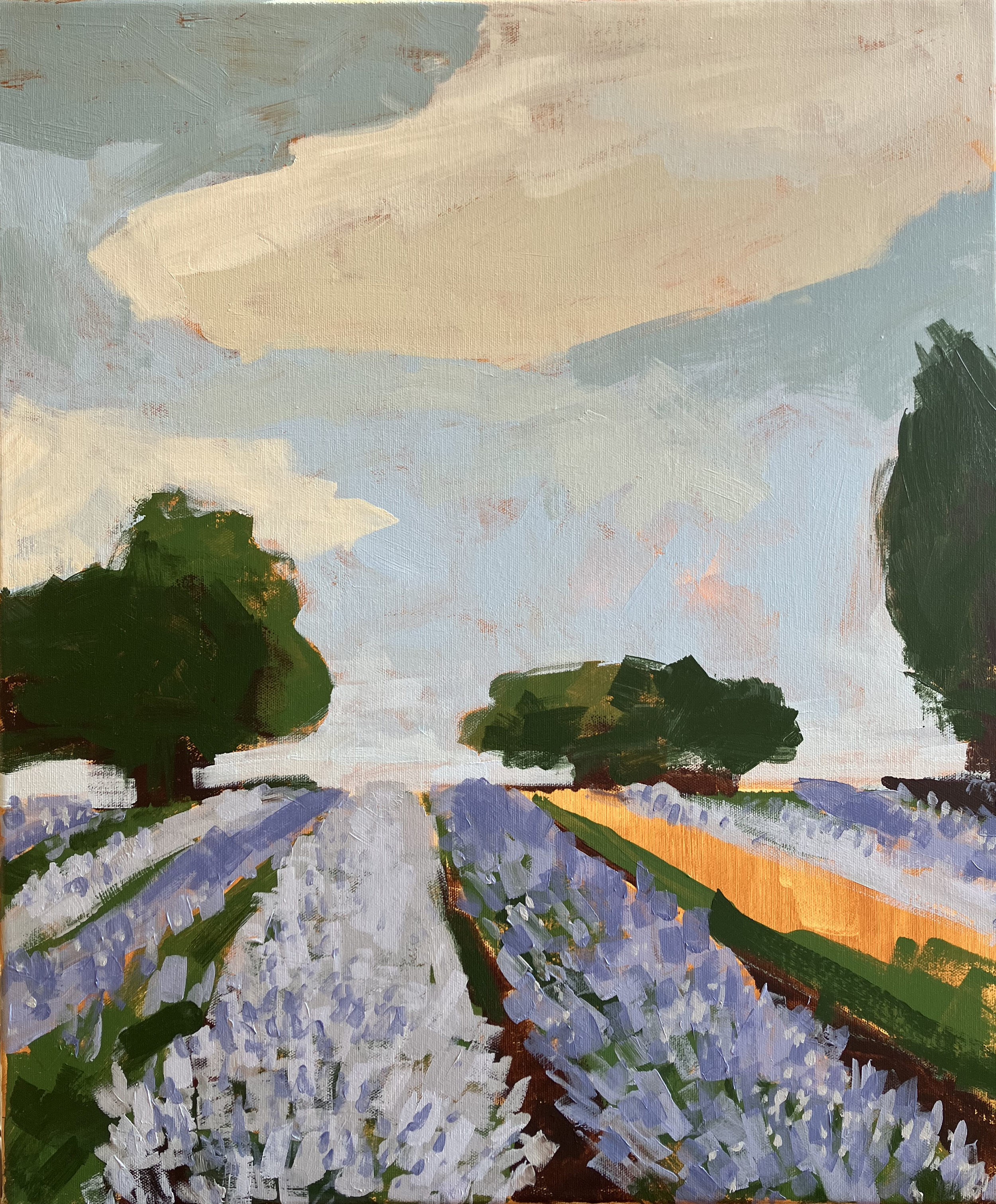 Lavender Fields Print