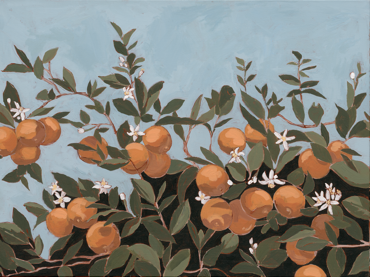 Orange Blossoms Print