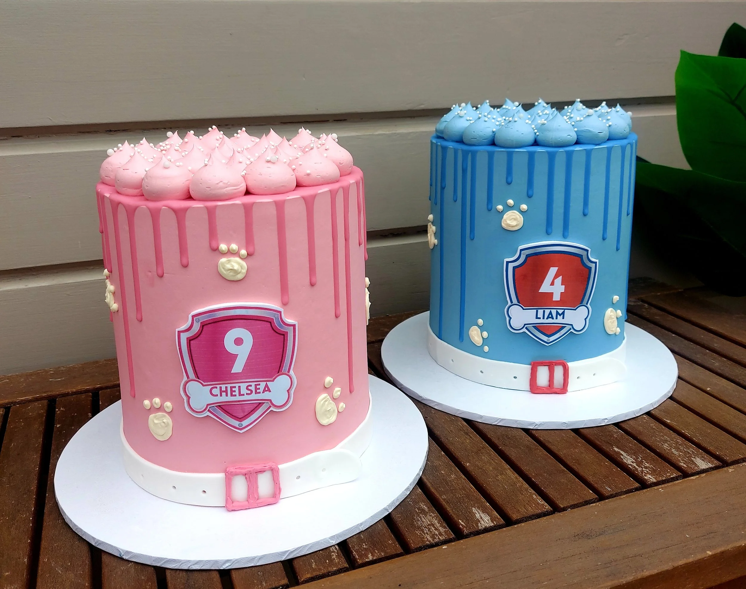 Paw Patrol Inspired Cake