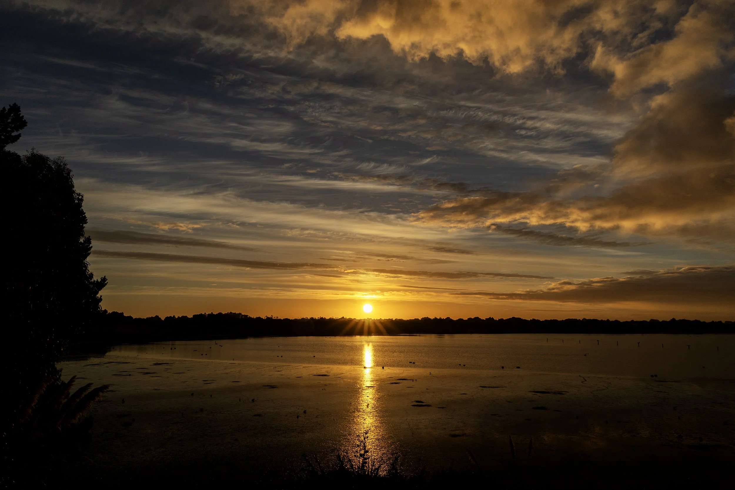 NZDP103-WK7-Mulholland-Kellie-Estuary-Sunrise-B.jpg