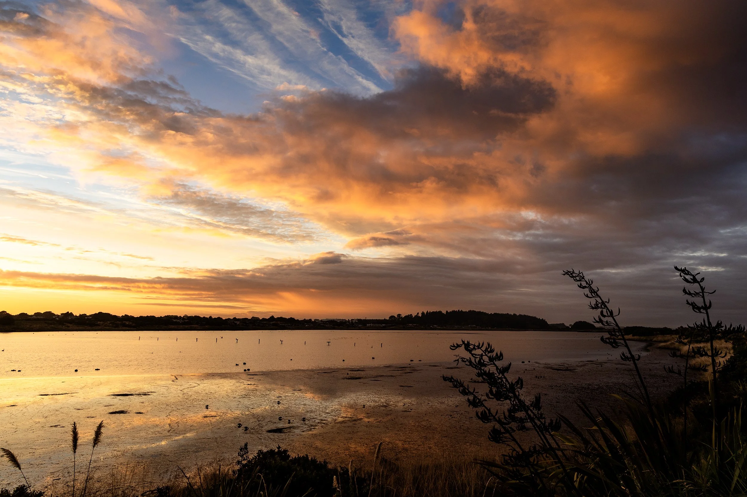 Estuary-Sunrise.jpg