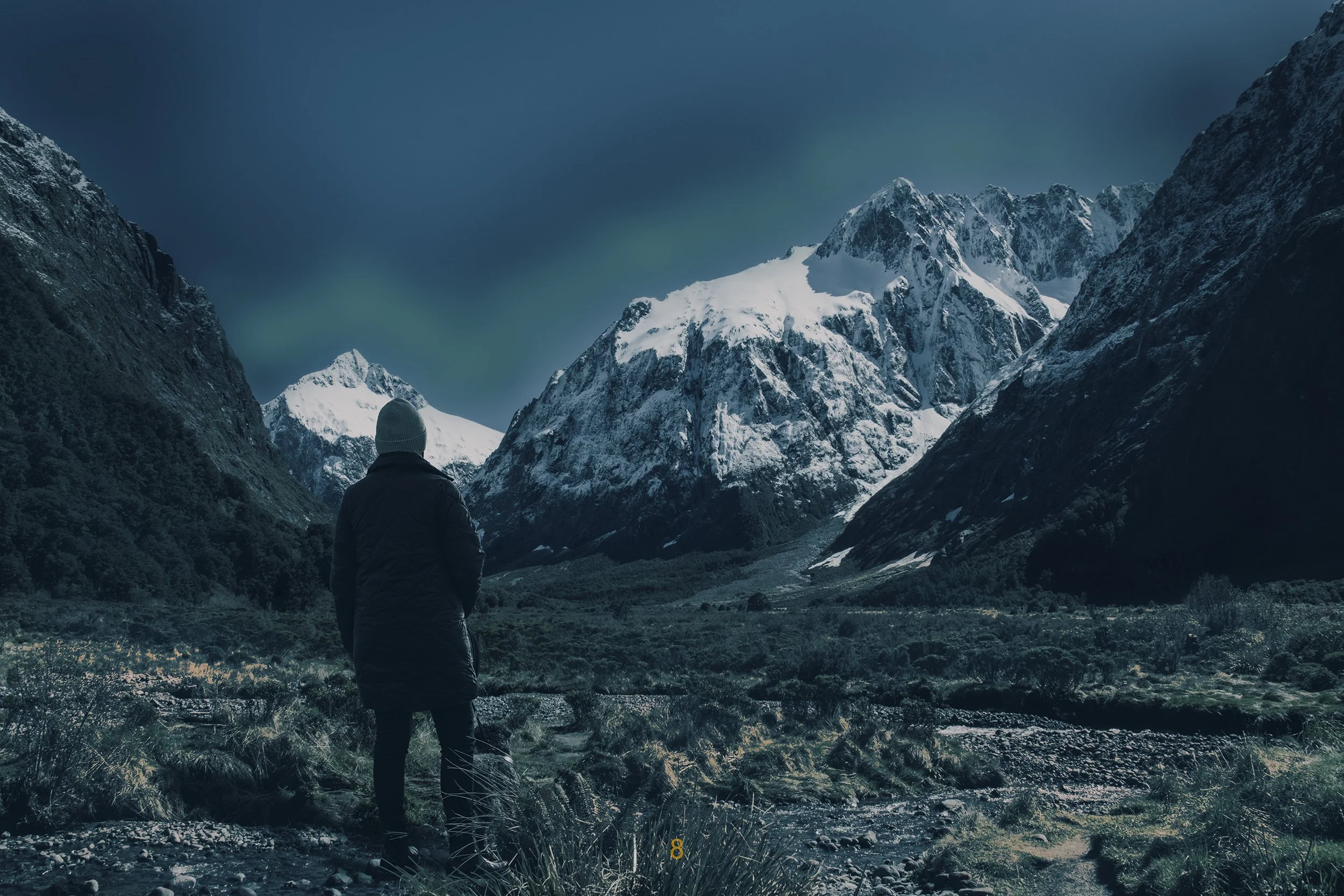 An image of a woman and dog looking out towards a mountain at night.