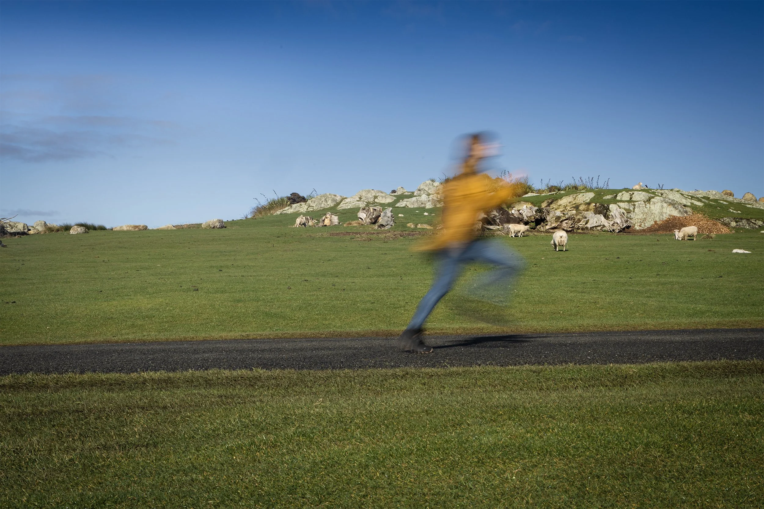 NZDP105-WK16-Mulholland-Kellie-Assignment-3-Photo-1.jpg