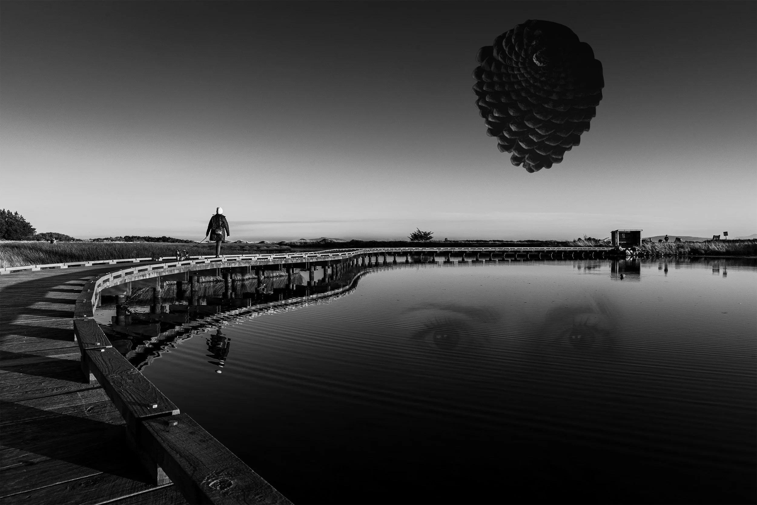 NZDP103-WK16-Mulholland-Kellie-Surrealist-Uelsmann-B..jpg
