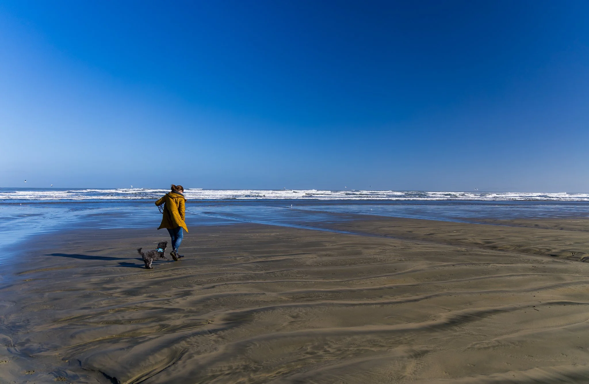 oreti-beach2.jpg