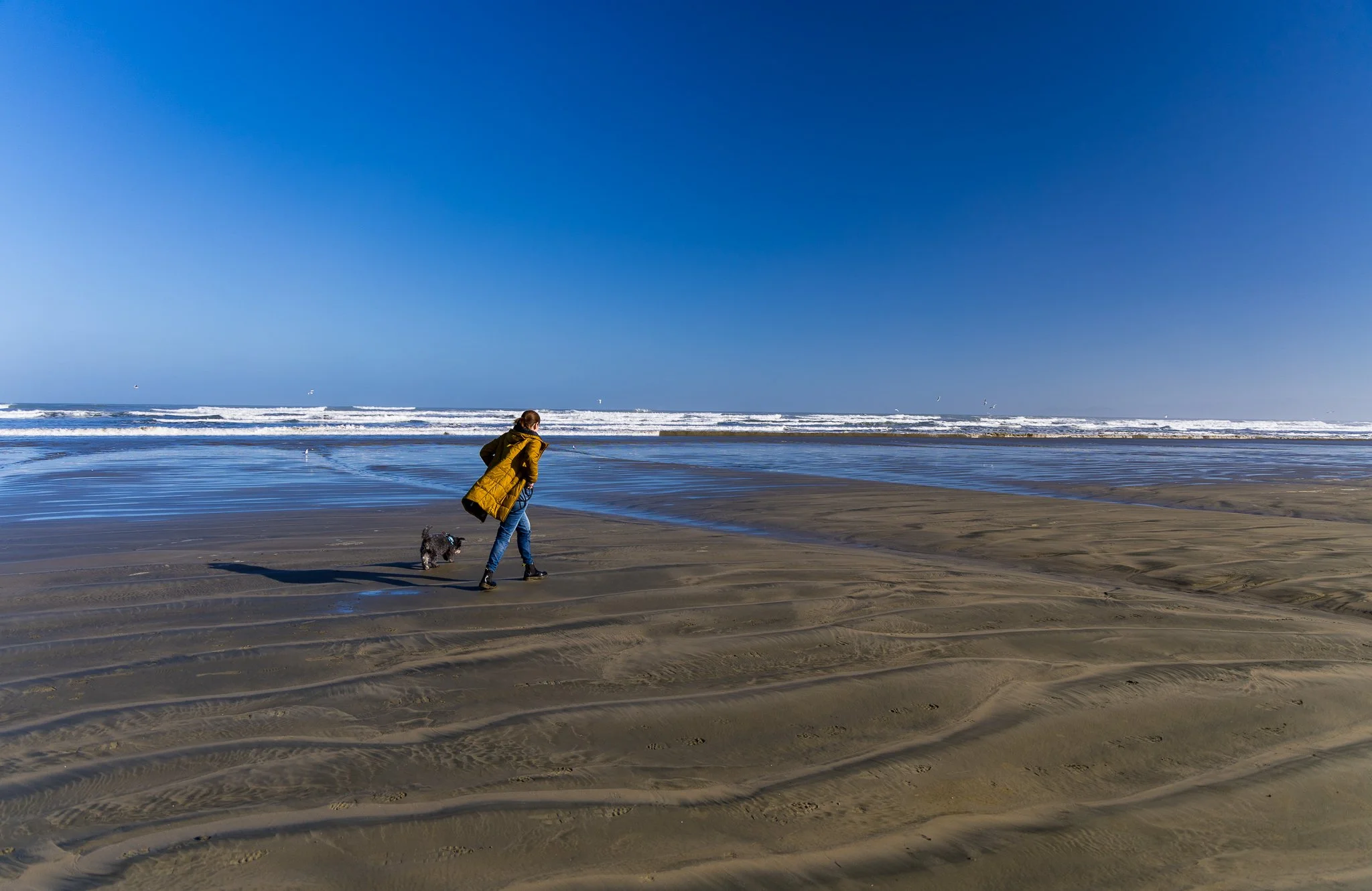 oreti-beach3.jpg