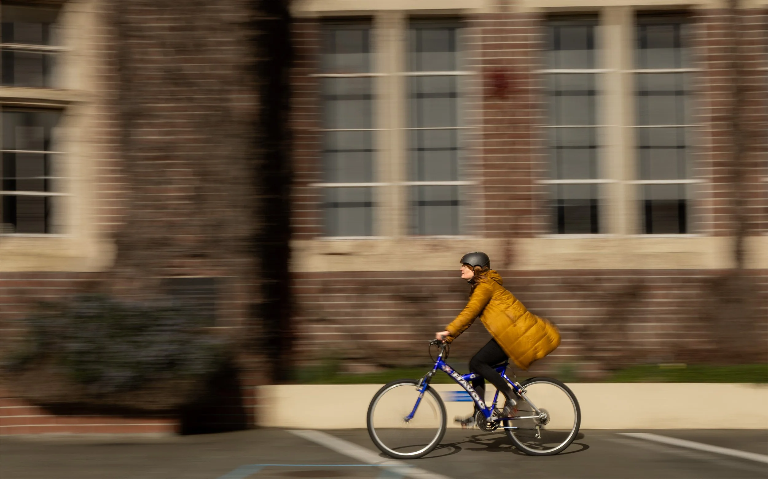 NZDP105-WK10-Mulholland-Kellie-Assignment-2-Panning.jpg