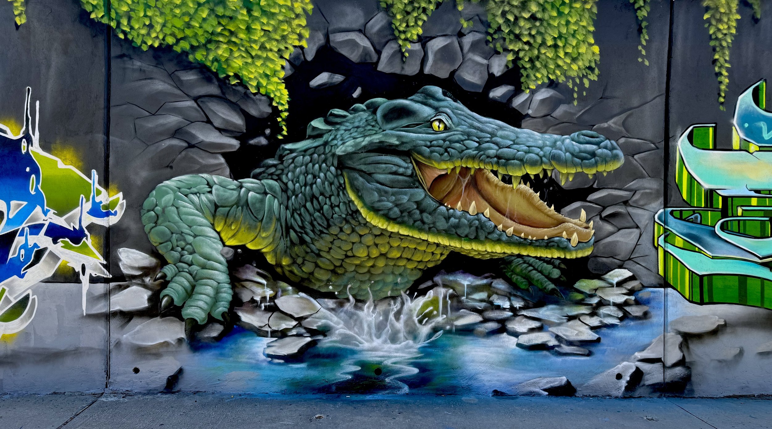 Spray Art Mural of Alligator