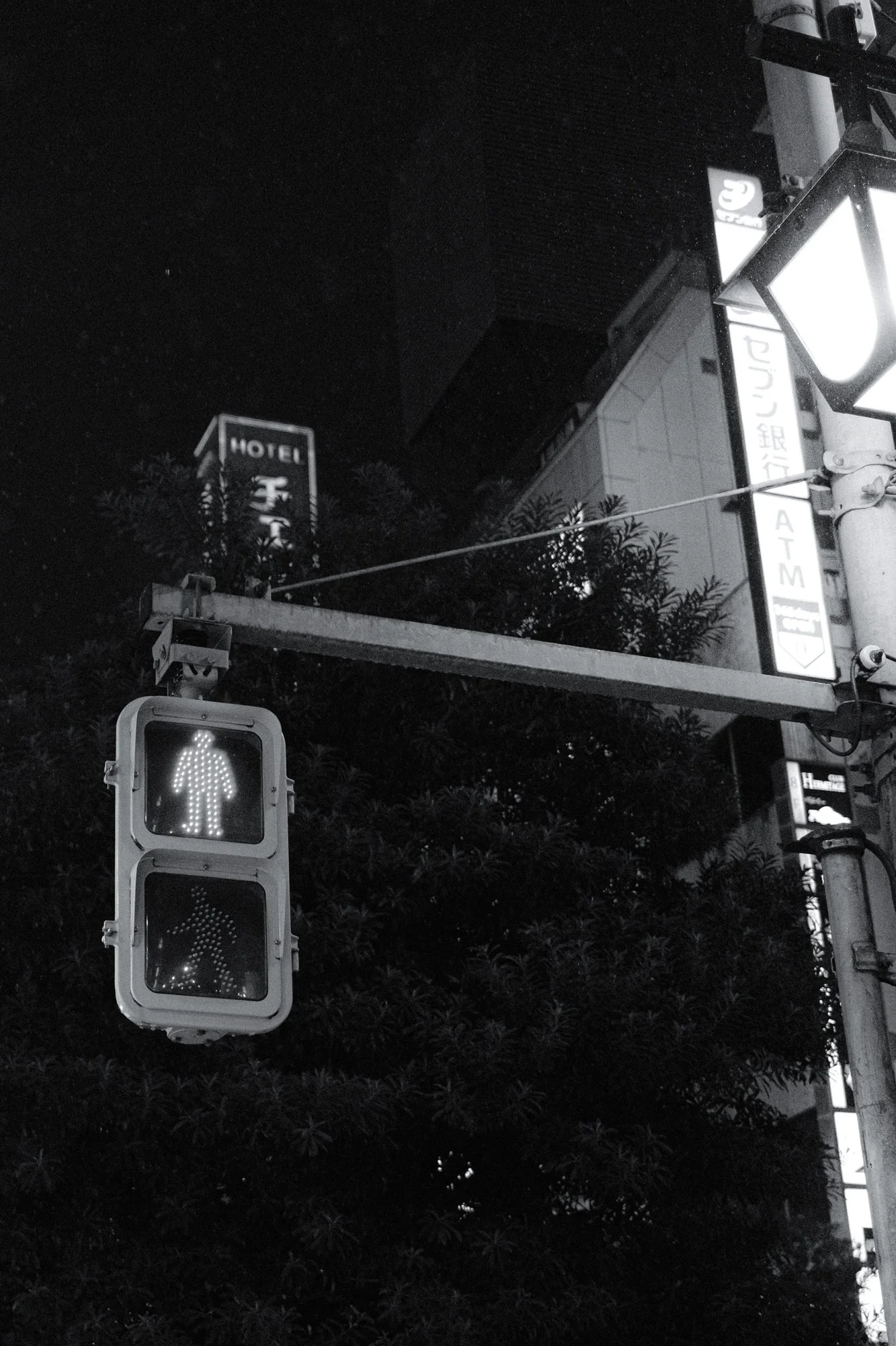 X1003919.jpg