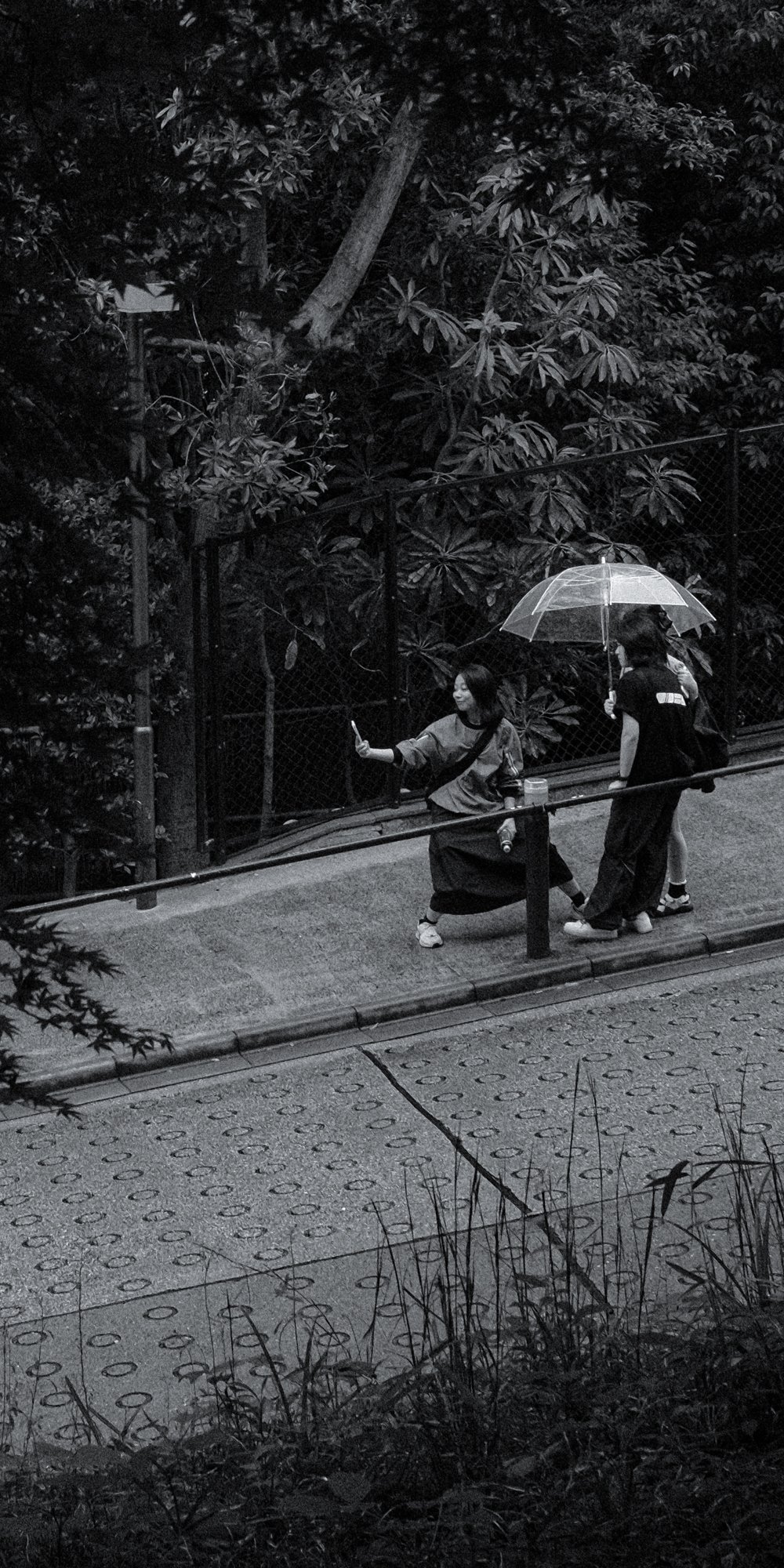 X1003783.jpg