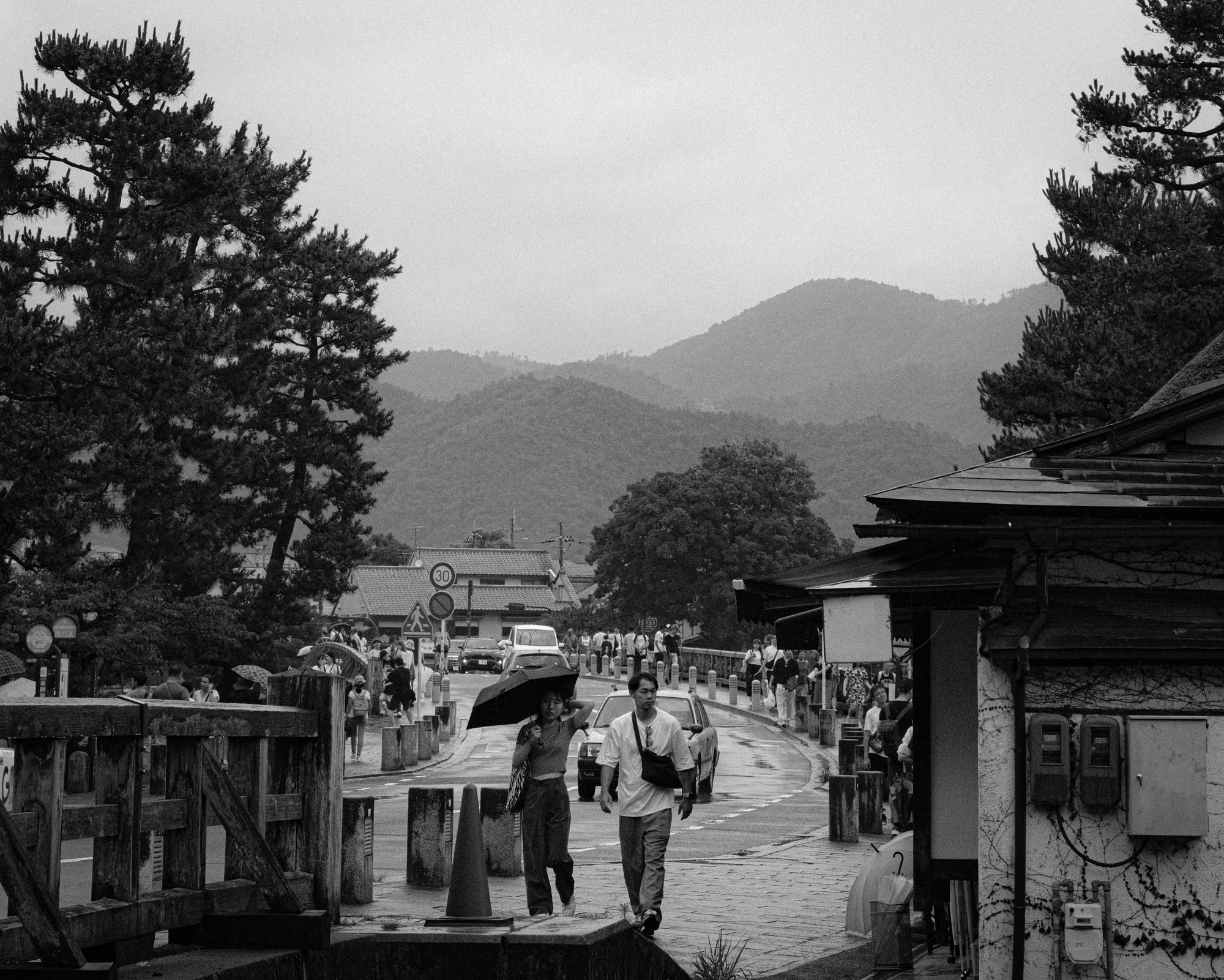 XT505260.jpg