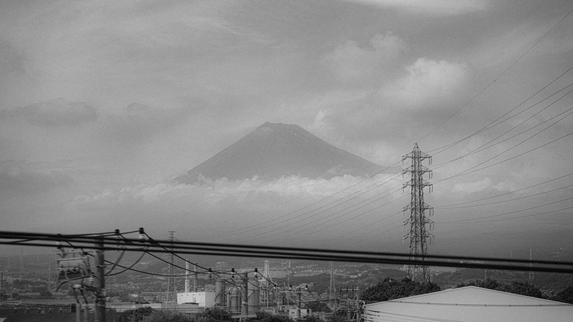 XT505379.jpg
