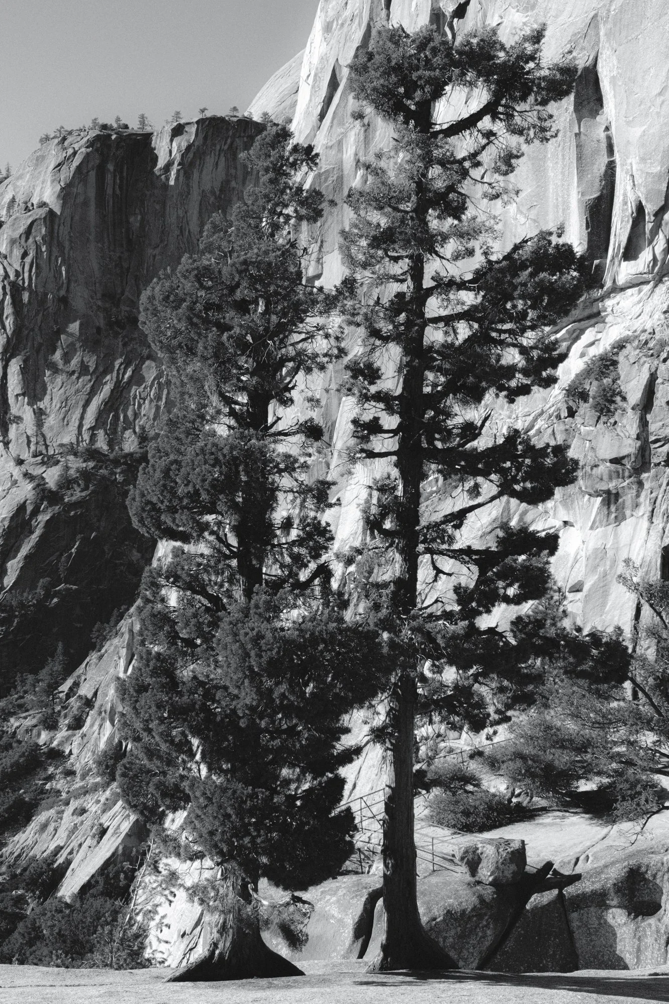 XT505288.jpg