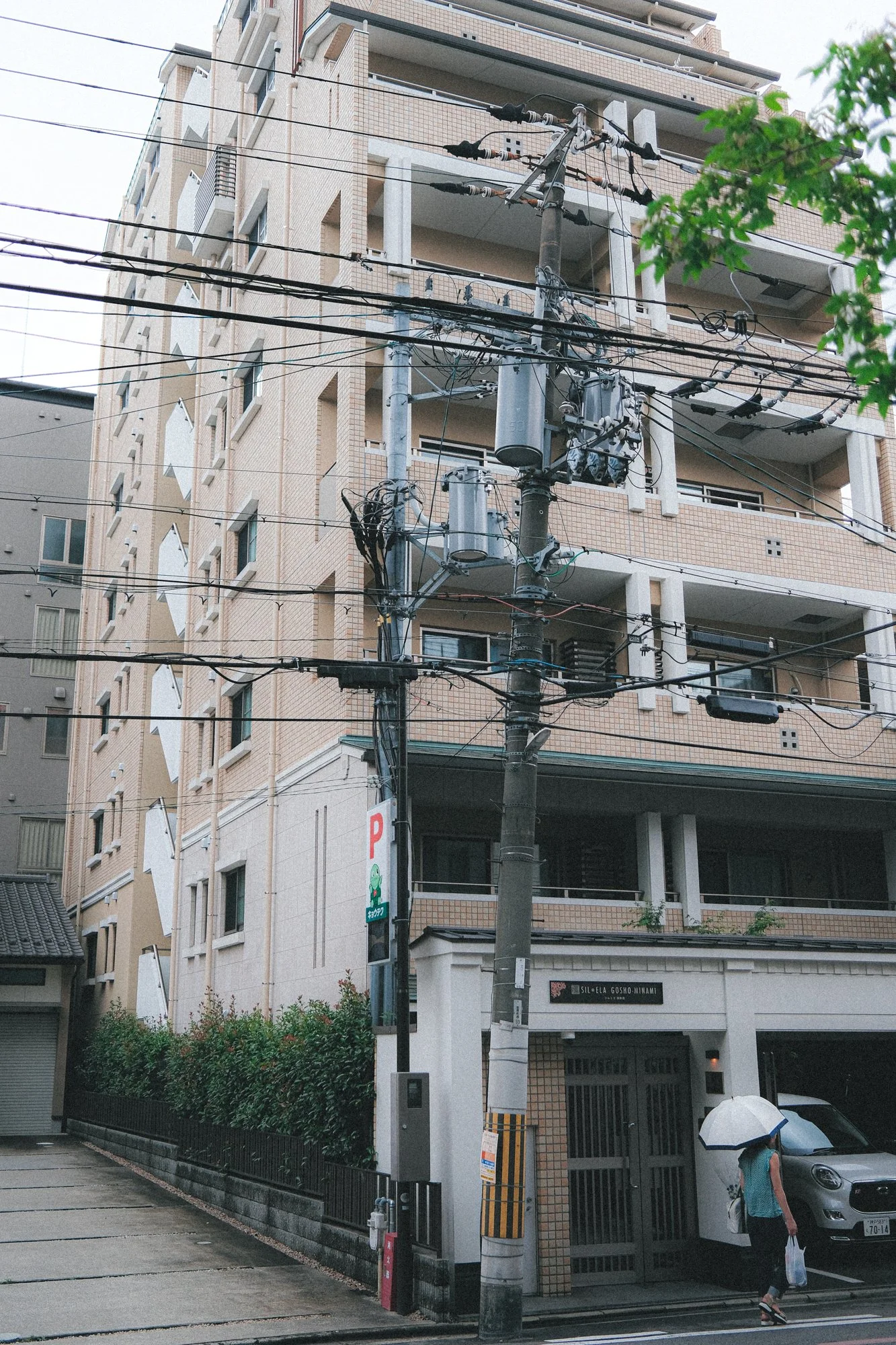 X1001758.jpg