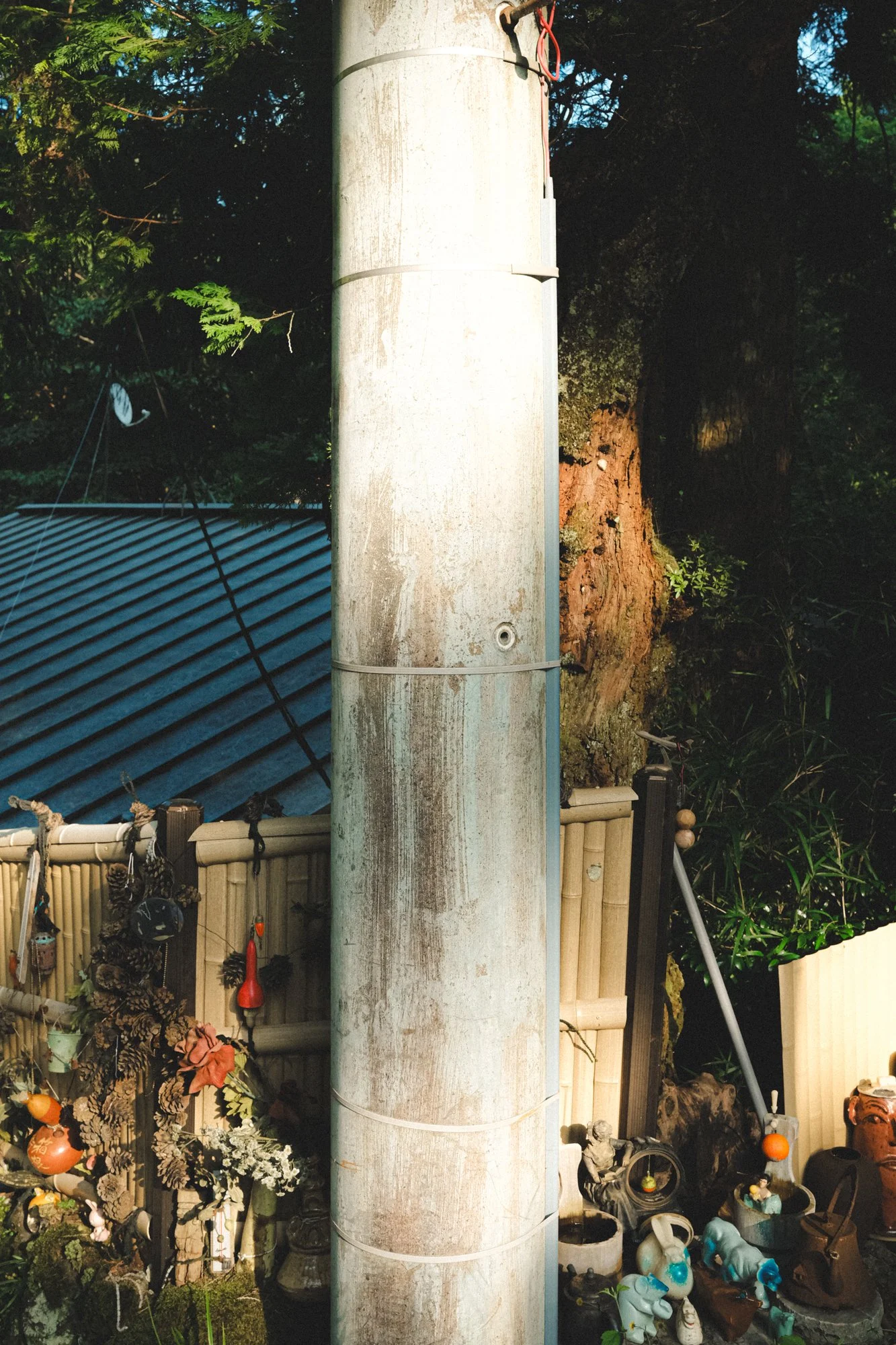 X1002985.jpg