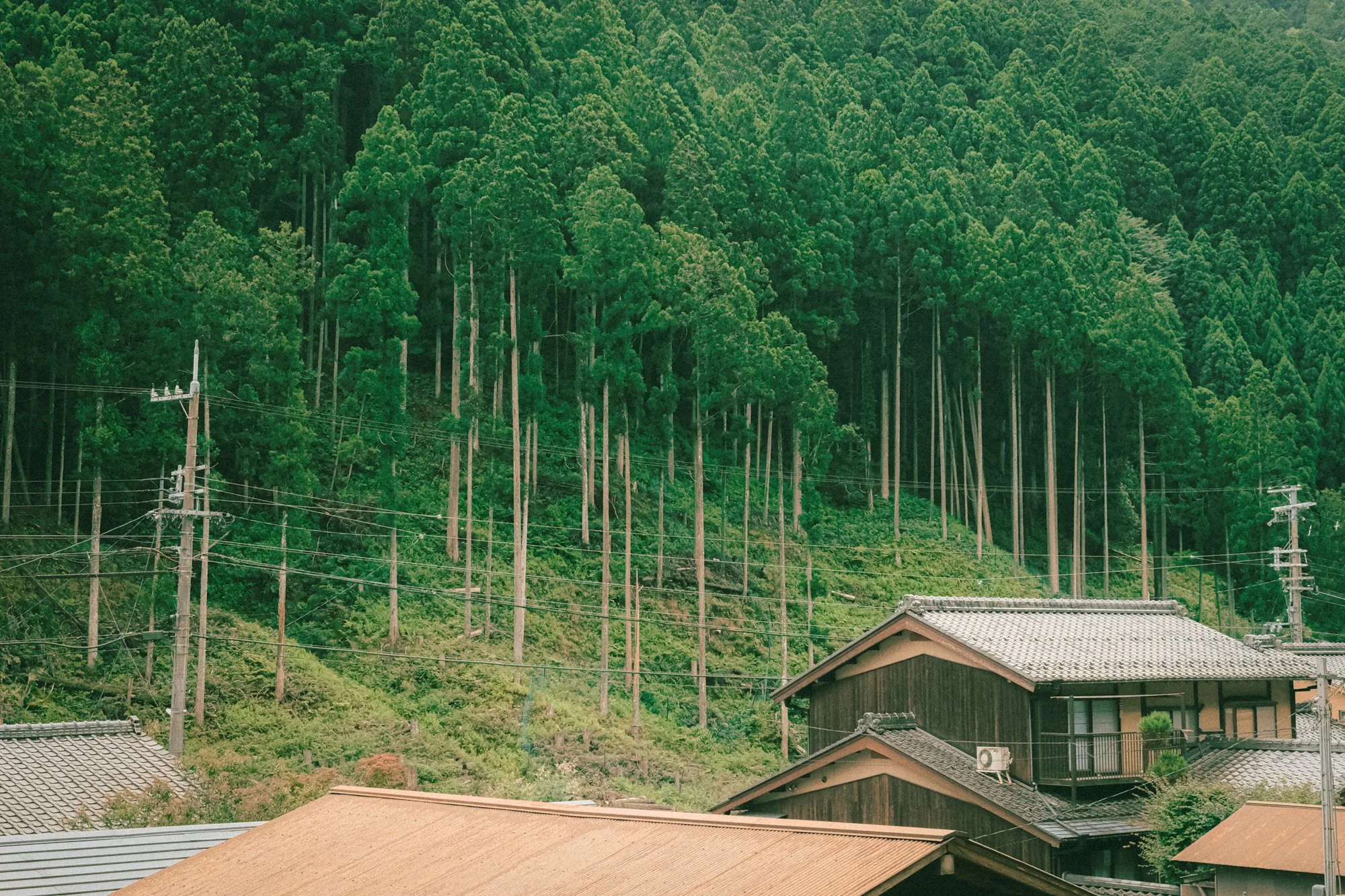 X1001854.jpg
