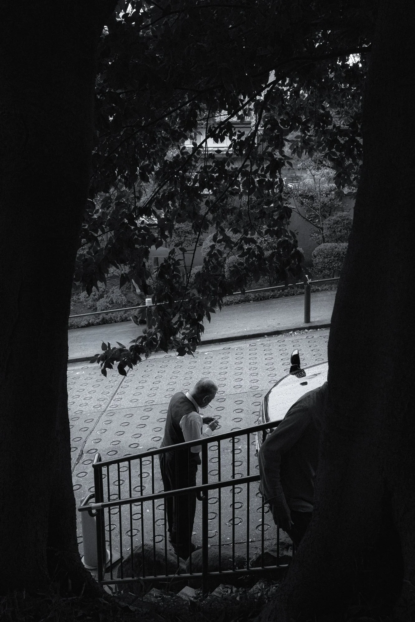 X1003793.jpg