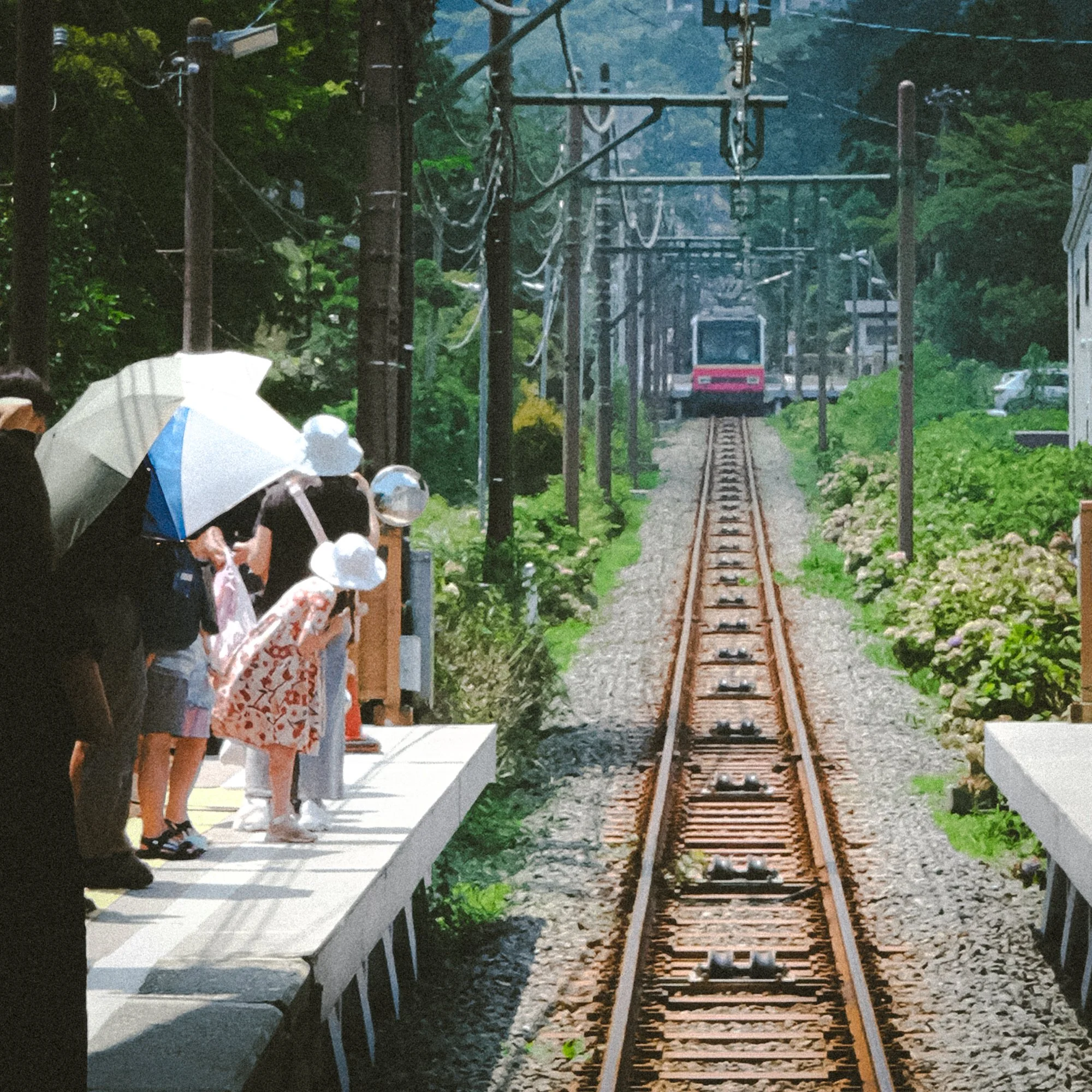 X1003100.jpg