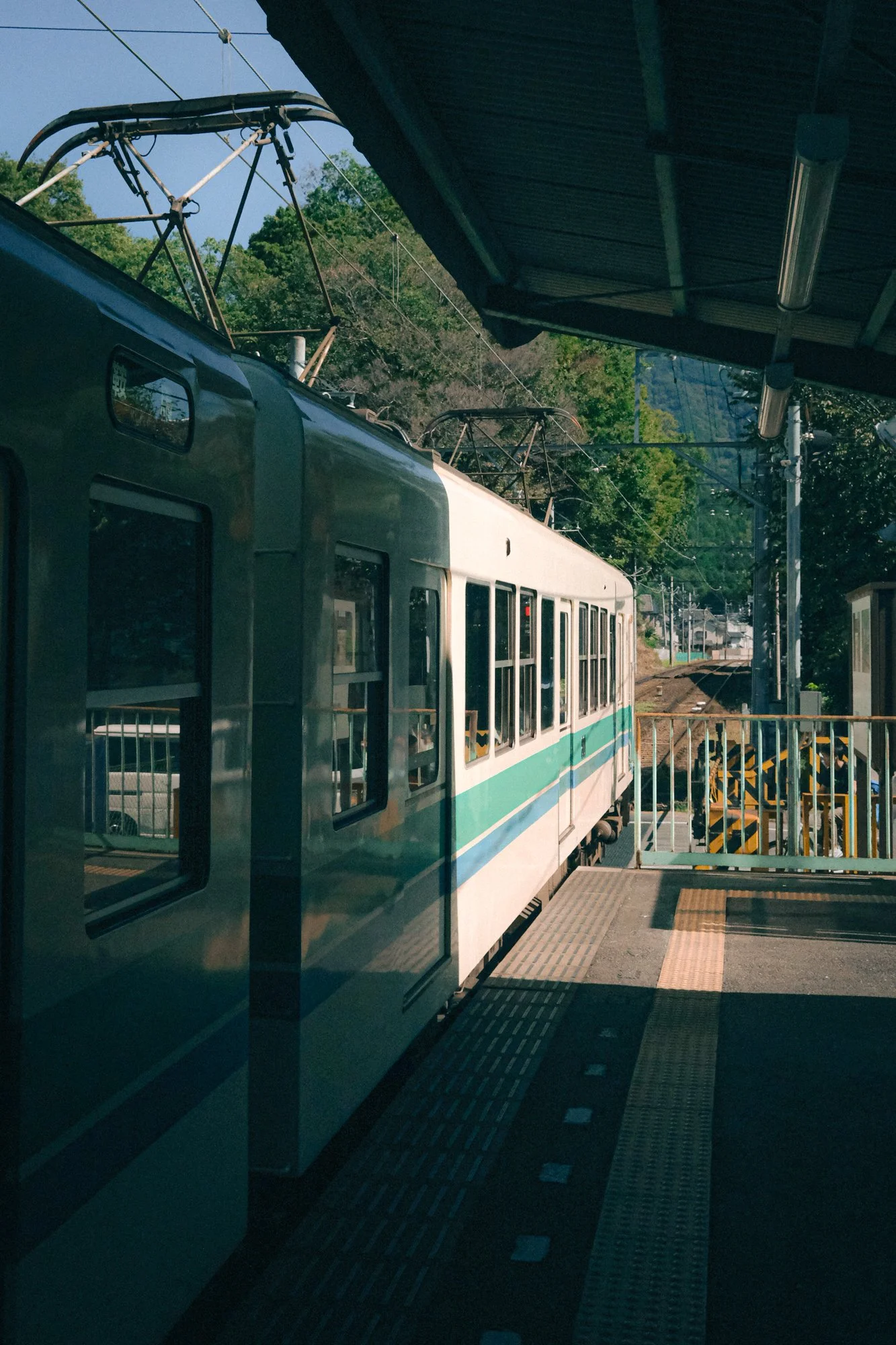 X1004212.jpg