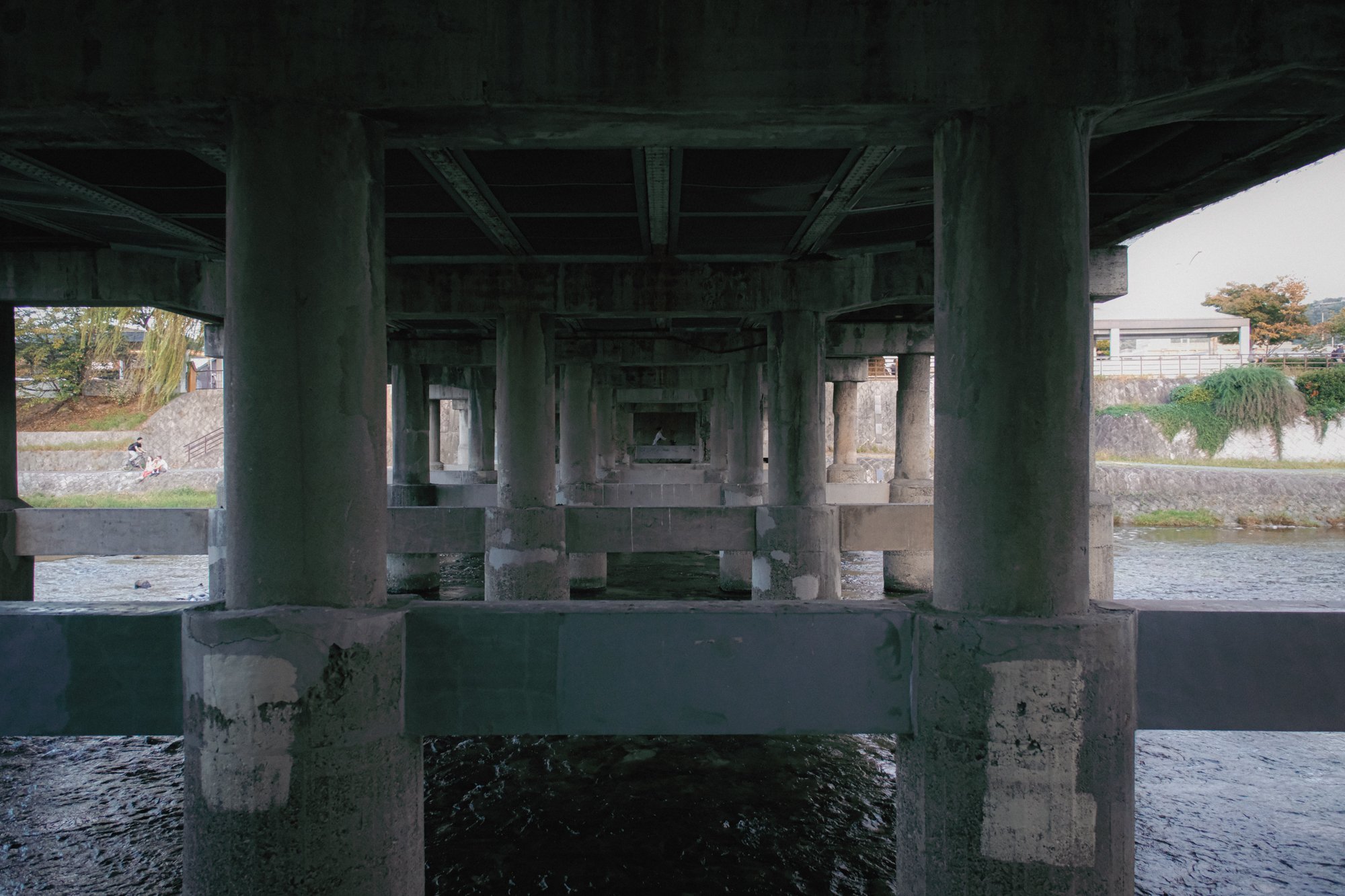 XT507862.jpg