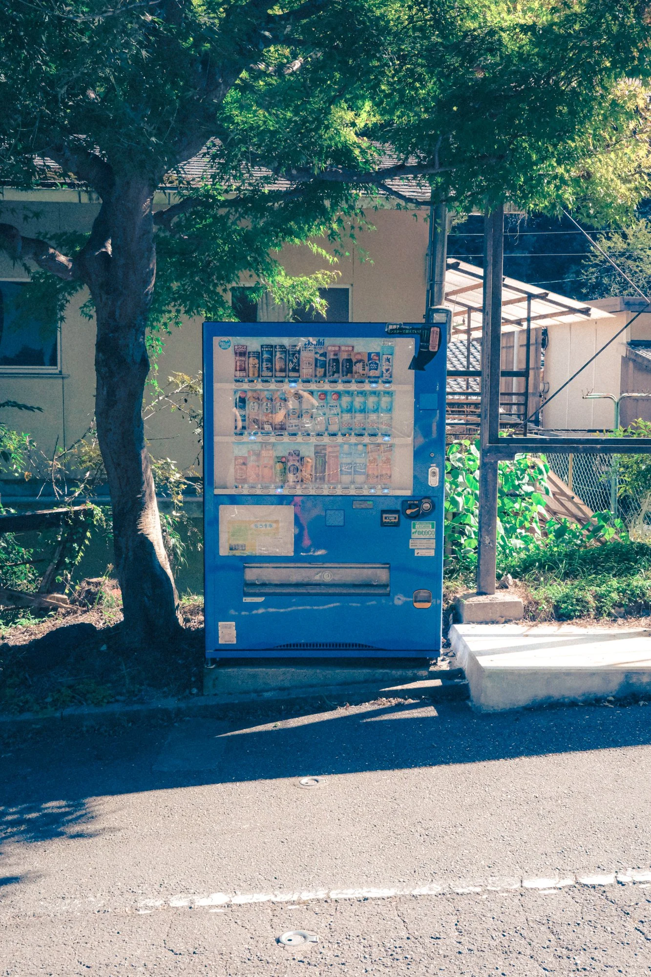 X1004319.jpg
