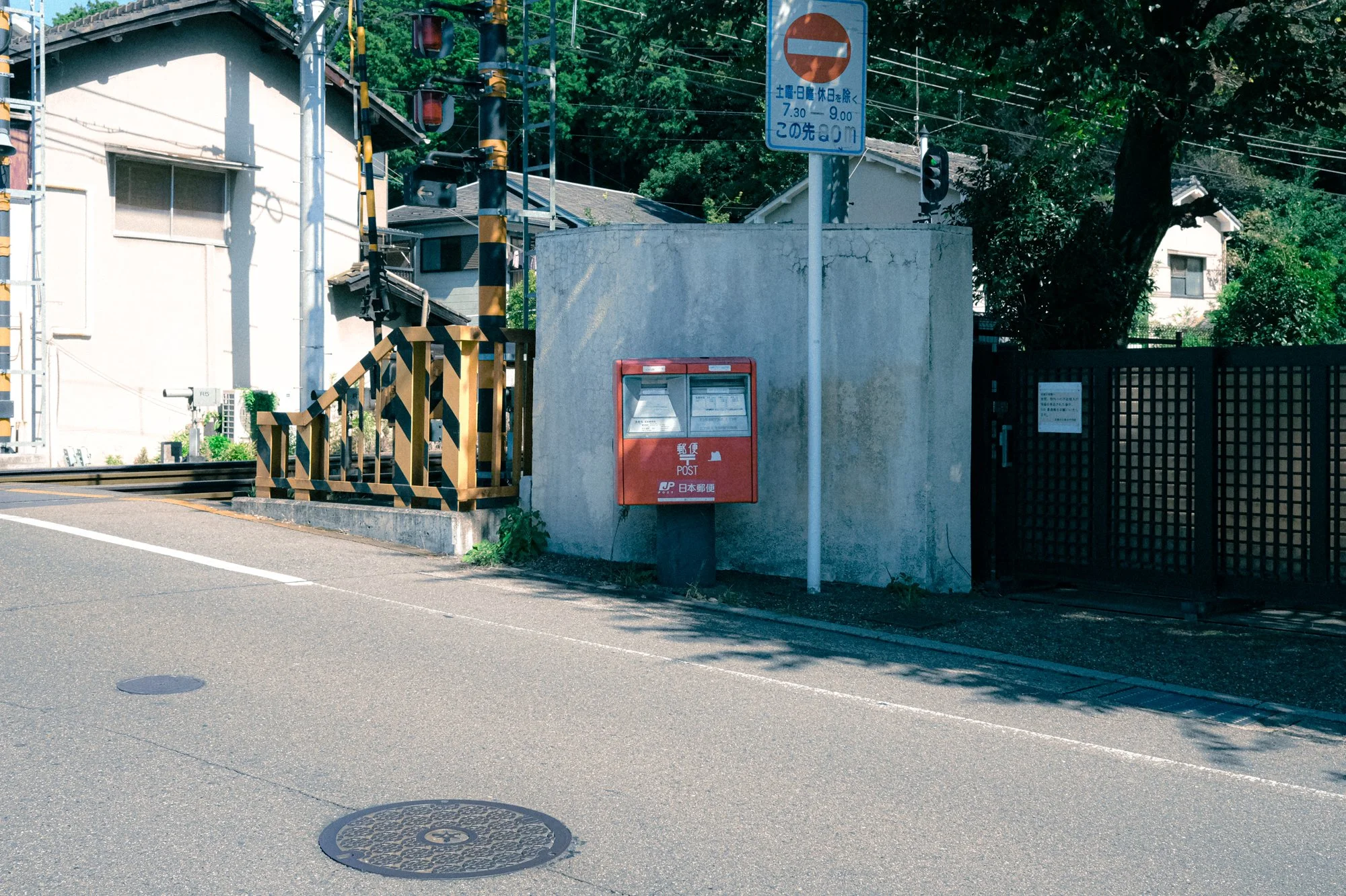 X1004165.jpg