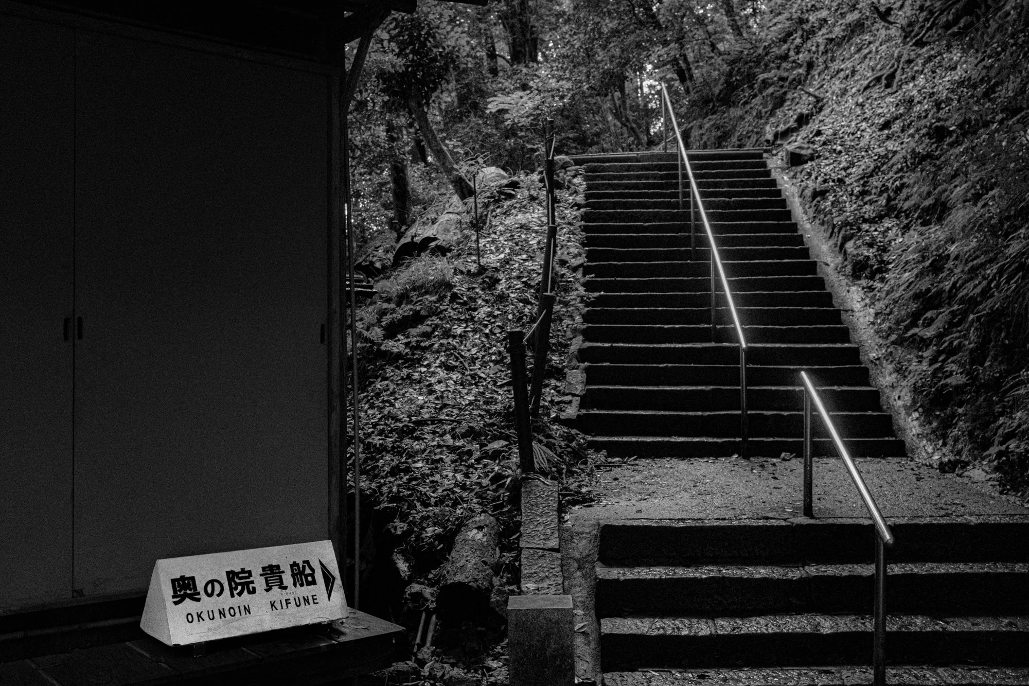 X1002030.jpg