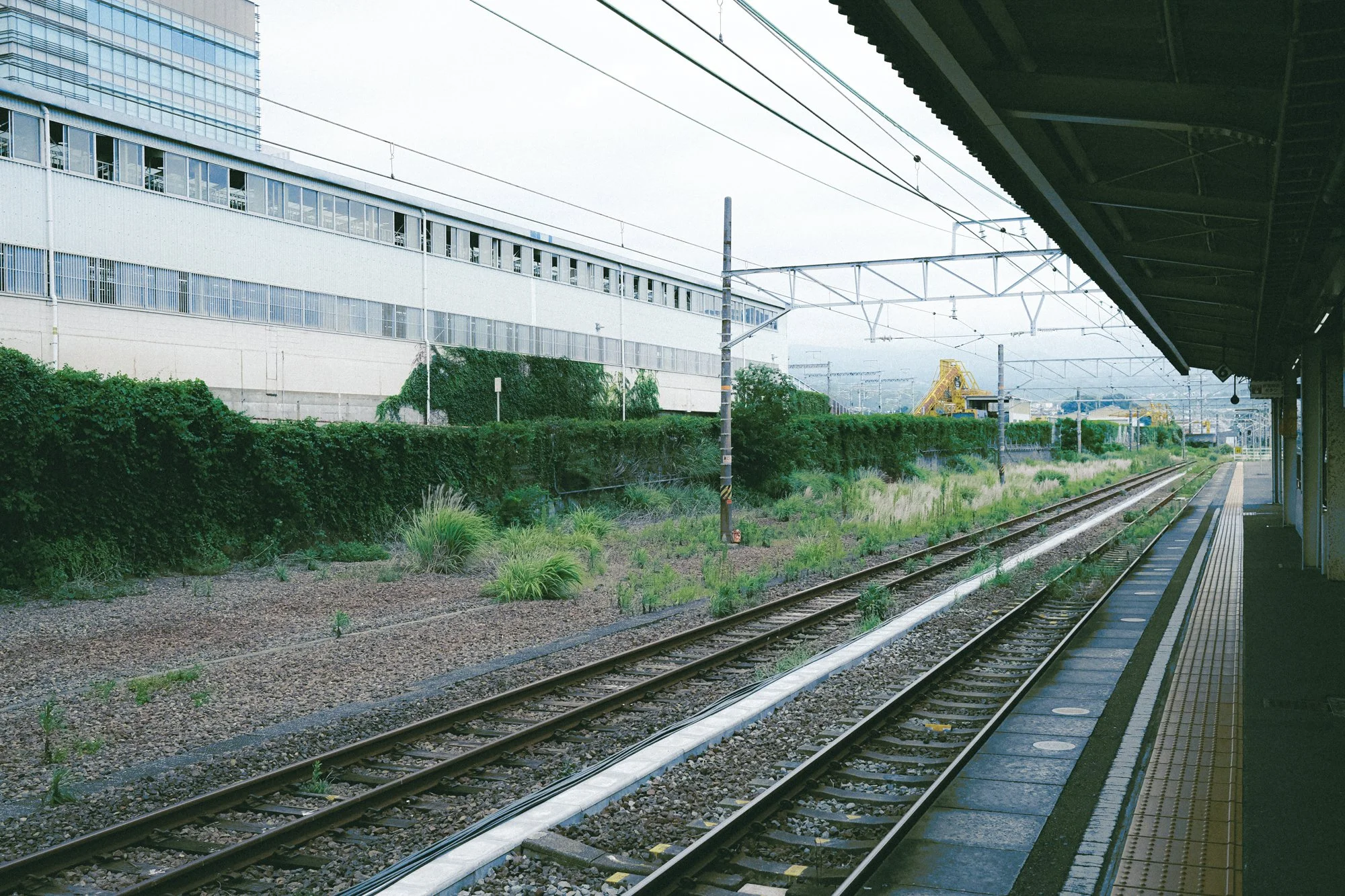 X1002914.jpg