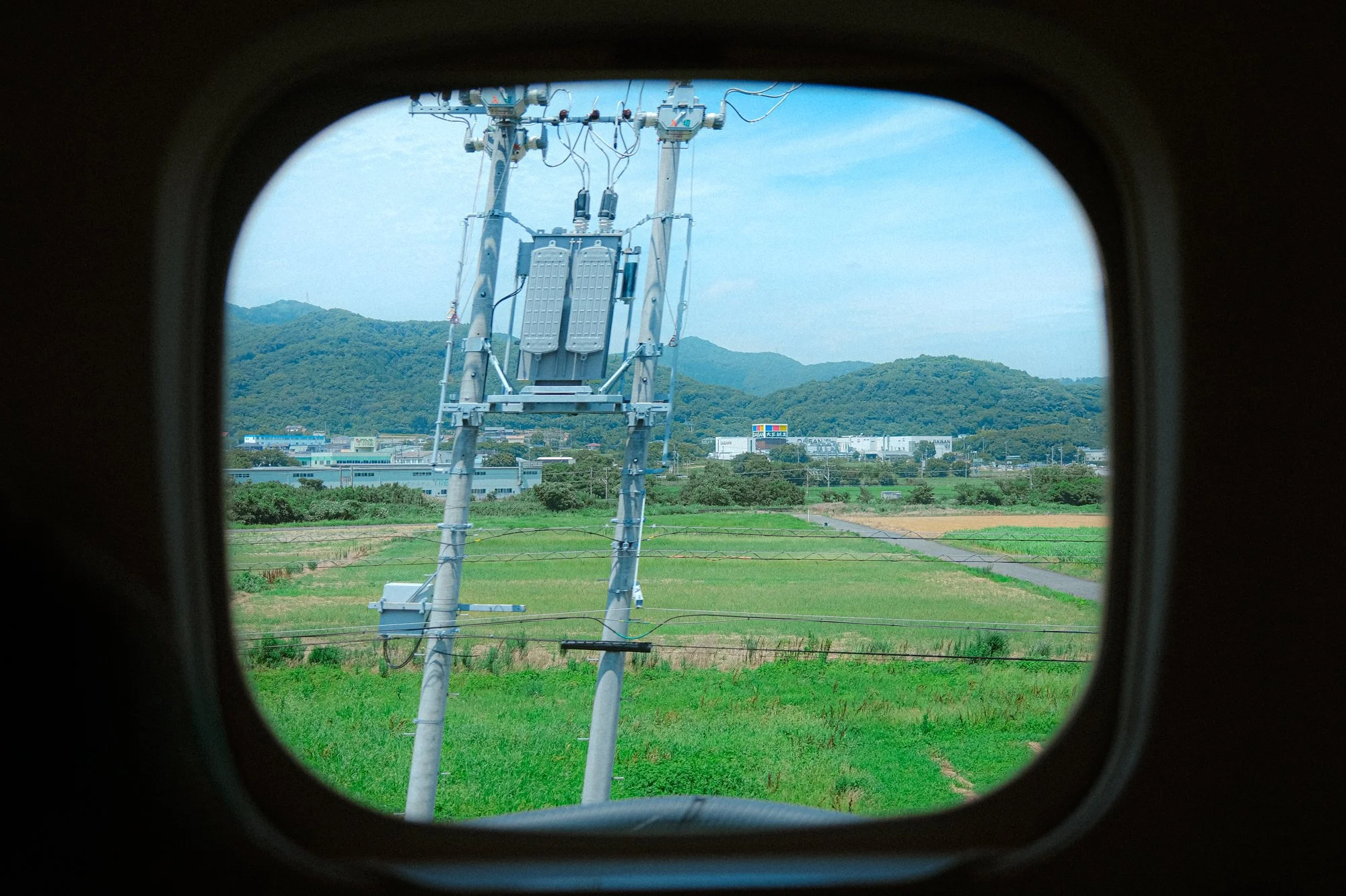X1002542.jpg